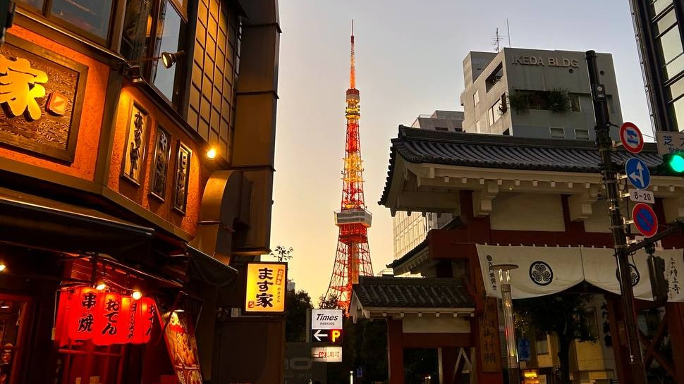 Запись на занятия. Уроки Японского Языка Онлайн с Люсине