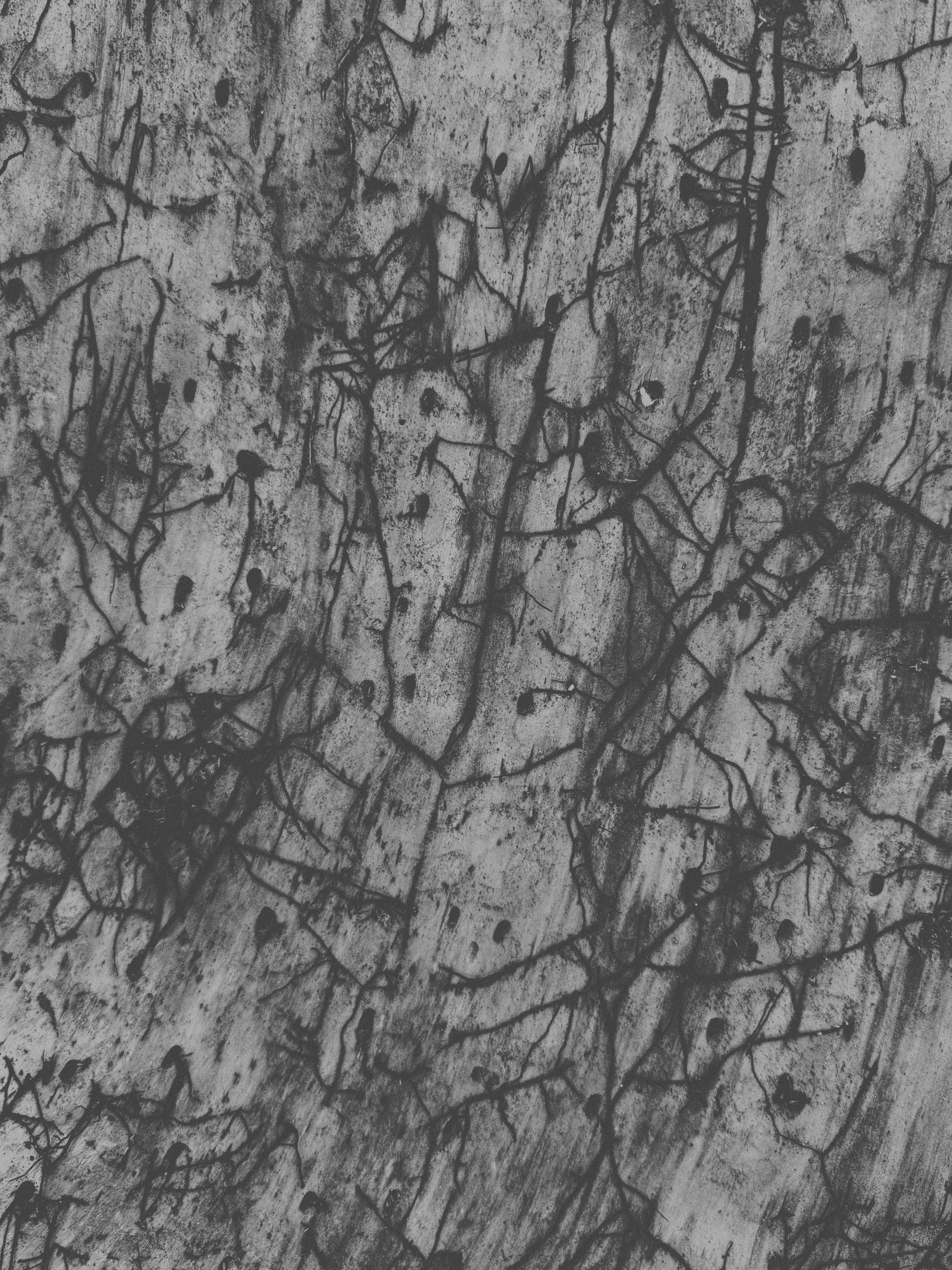 Наталья Яковлева — Комарово. Постпоэтическое