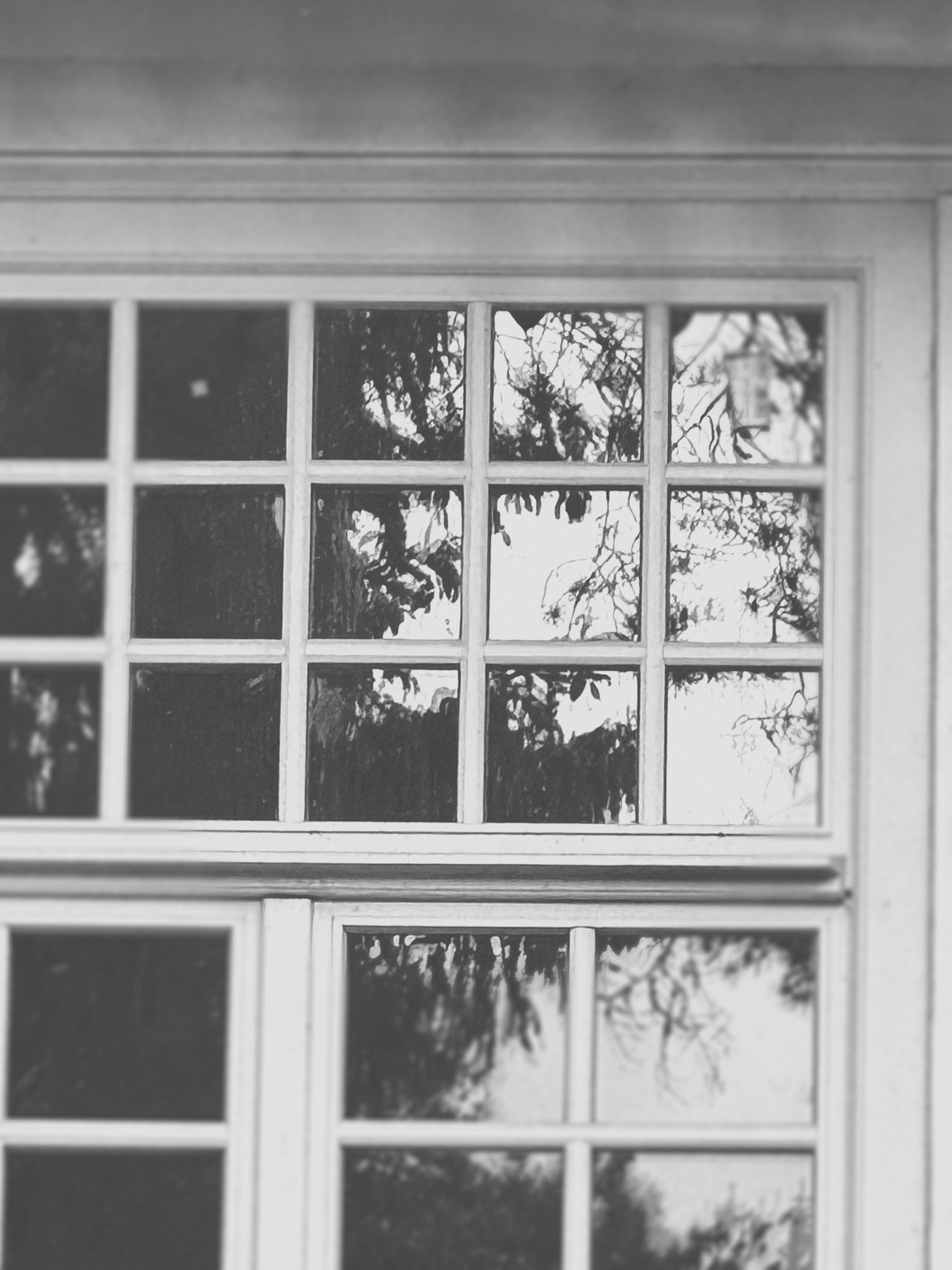 Наталья Яковлева — Комарово. Постпоэтическое