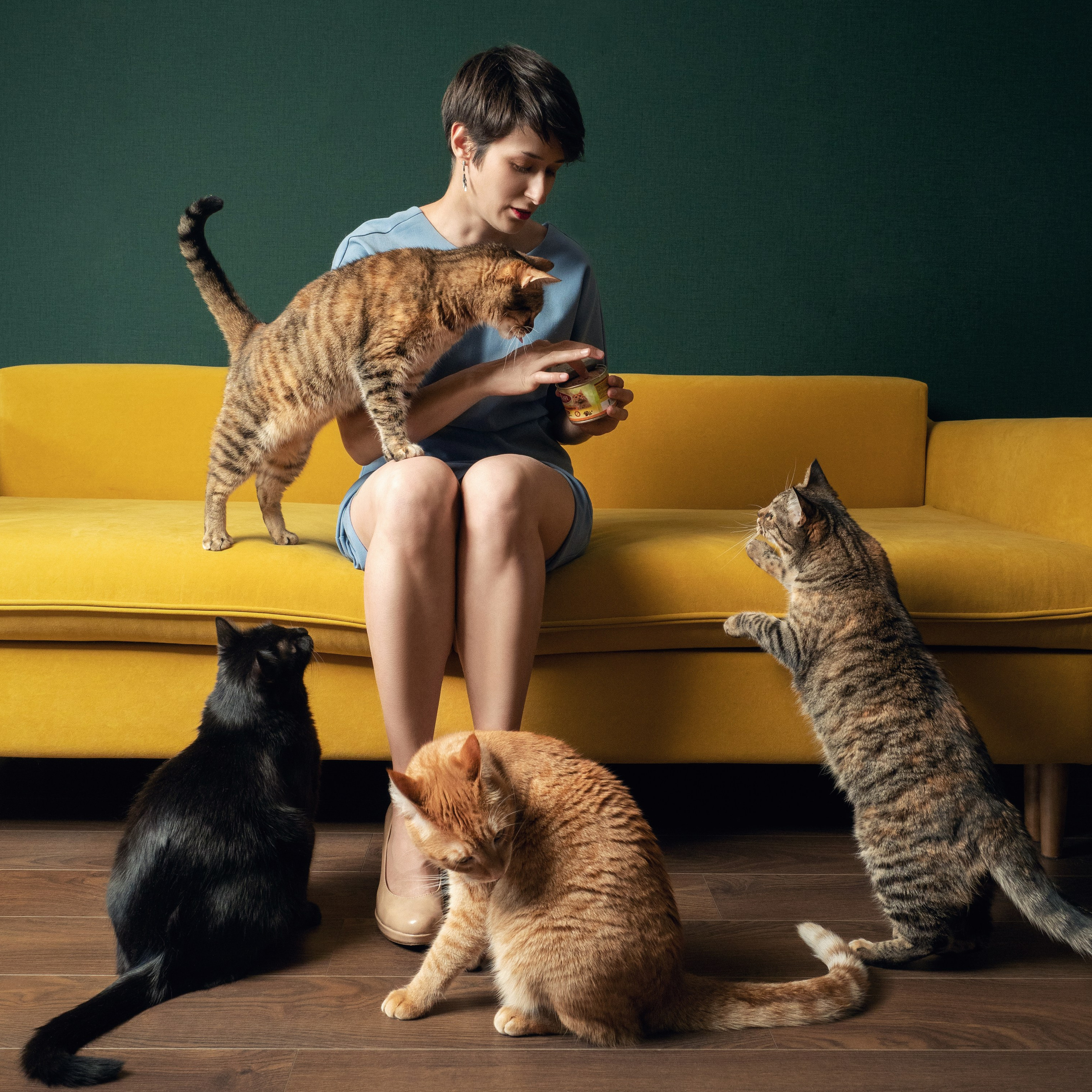 Услуги. Фотограф животных и людей в Санкт-Петербурге Дарья Быстрицкая