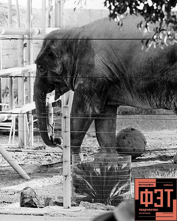 Альбом 25.01.26 в рамках ФЭТ