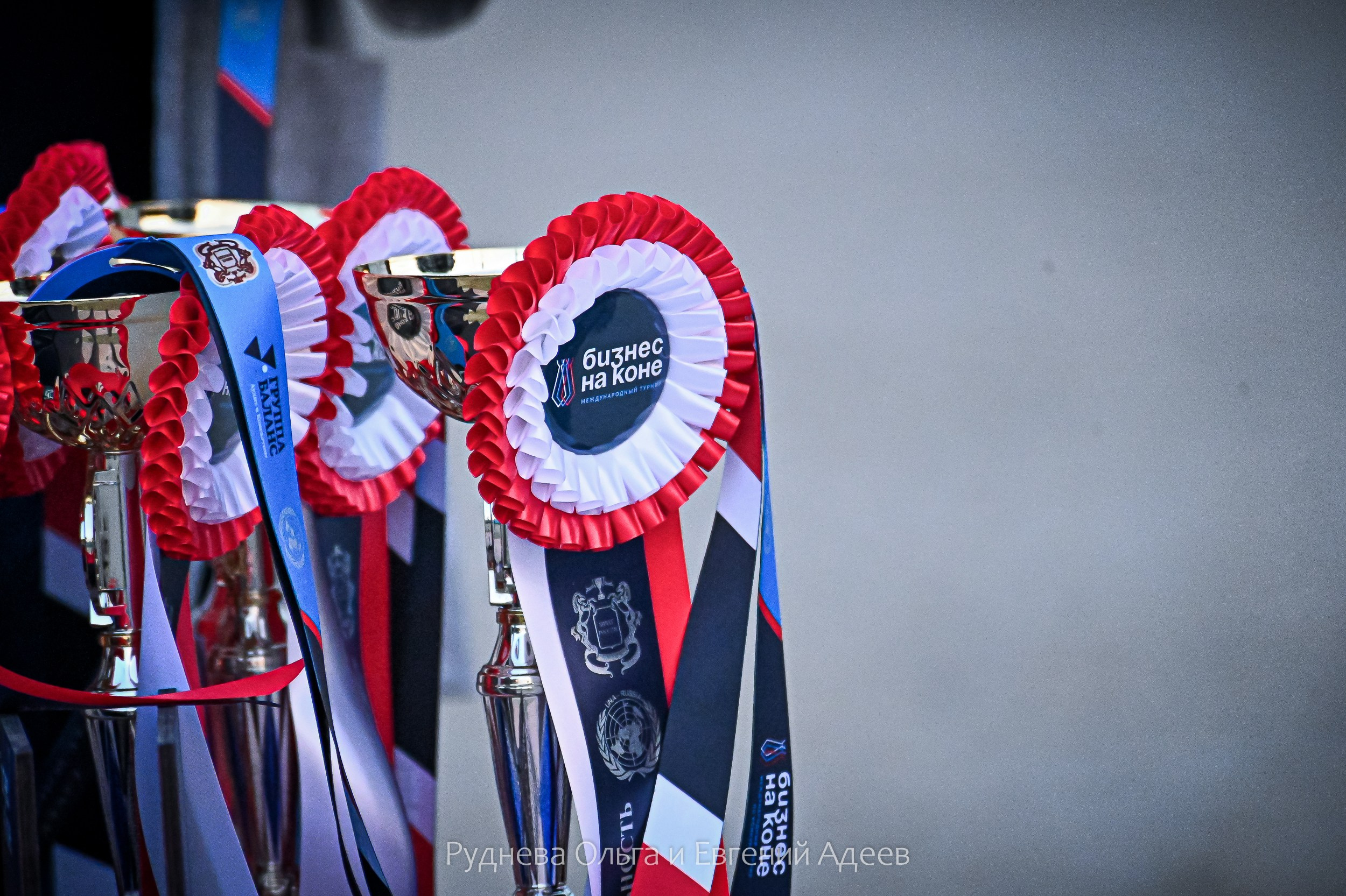 КСК ВИВАТ, РОССИЯ! ТУРНИР БИЗНЕС НА КОНЕ (12,13,14 сентября 2025). ТУРНИРНАЯ КОННАЯ ФОТОГРАФИЯ, Руднева Ольга и Евгений Адеев