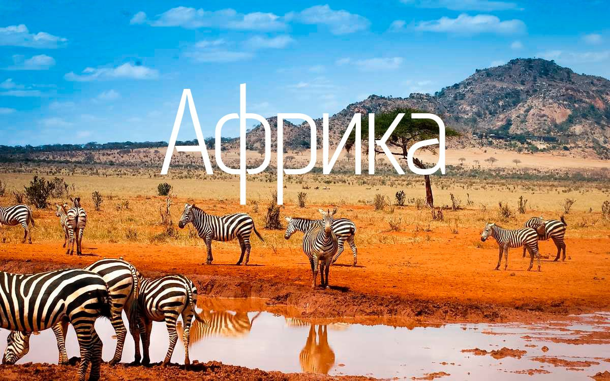 Туры по России и миру