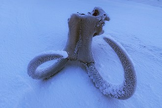 Фототуры по России