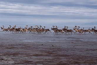Статьи о географических объектах России