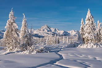 Отчеты о прошедших фототурах