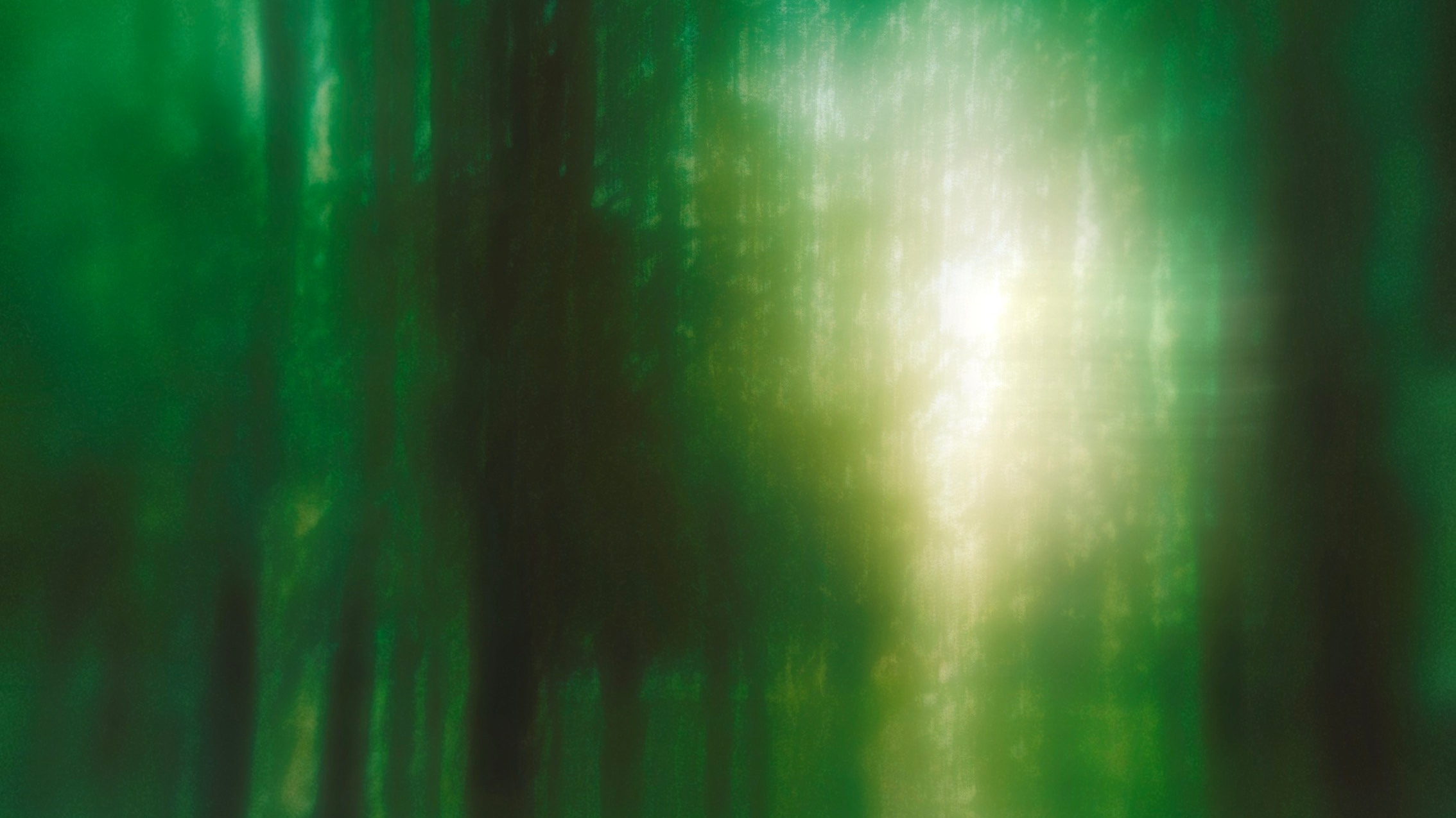 Ширяева Ольга