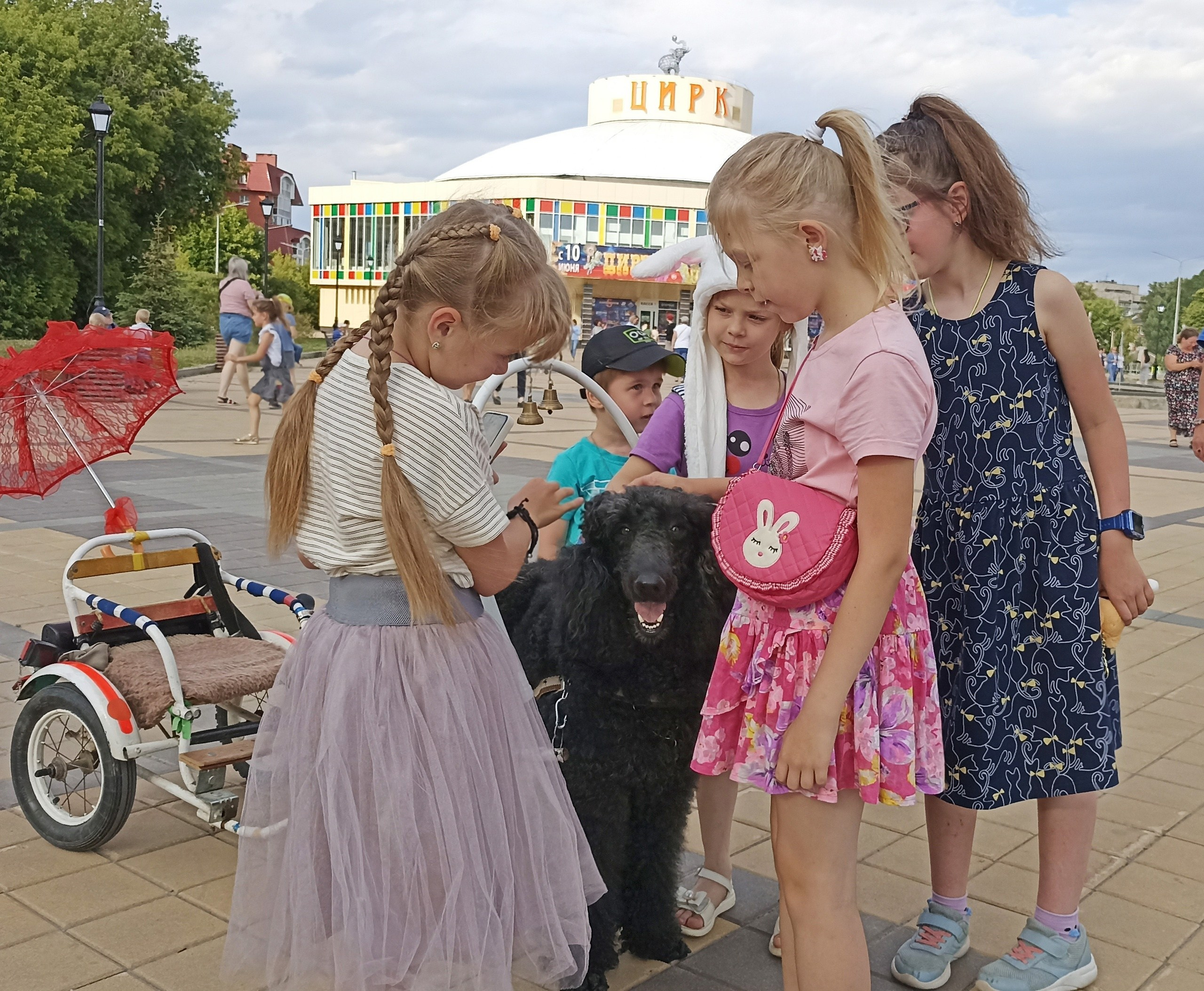 Собачье дело. Фотостудия Портрет Свадебный и семейный фотограф в Рязани