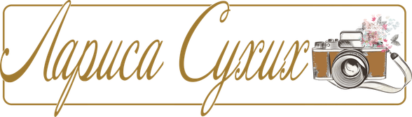 larisafoto.wfolio.pro