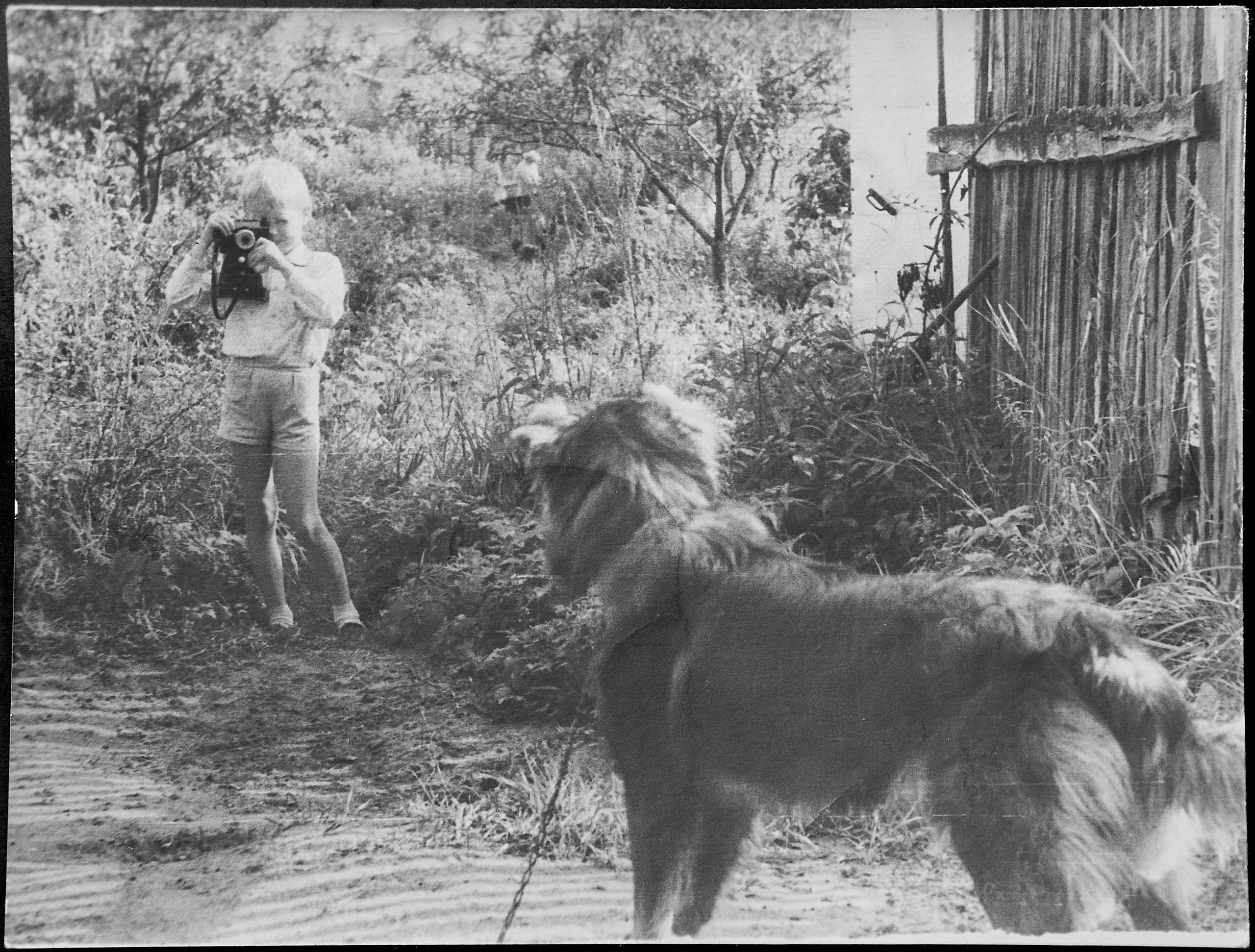 Контакты. Алексей Романов фотограф Санкт-Петербург, фотокурсы, фотошкола