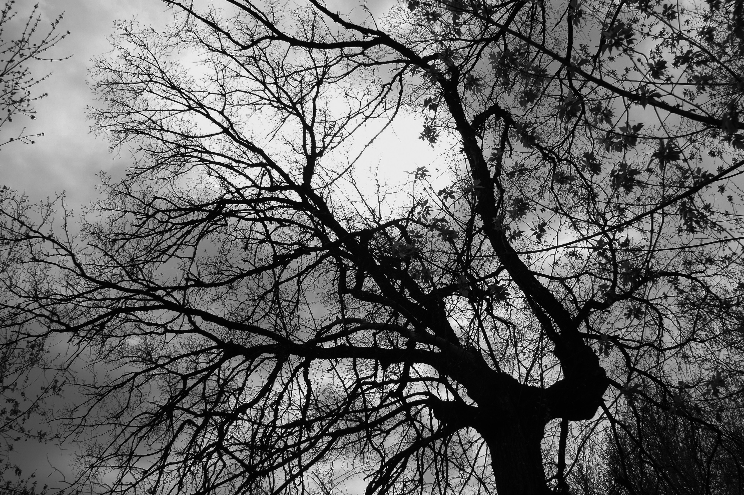 Купить. Фотографии Юлия Стремского