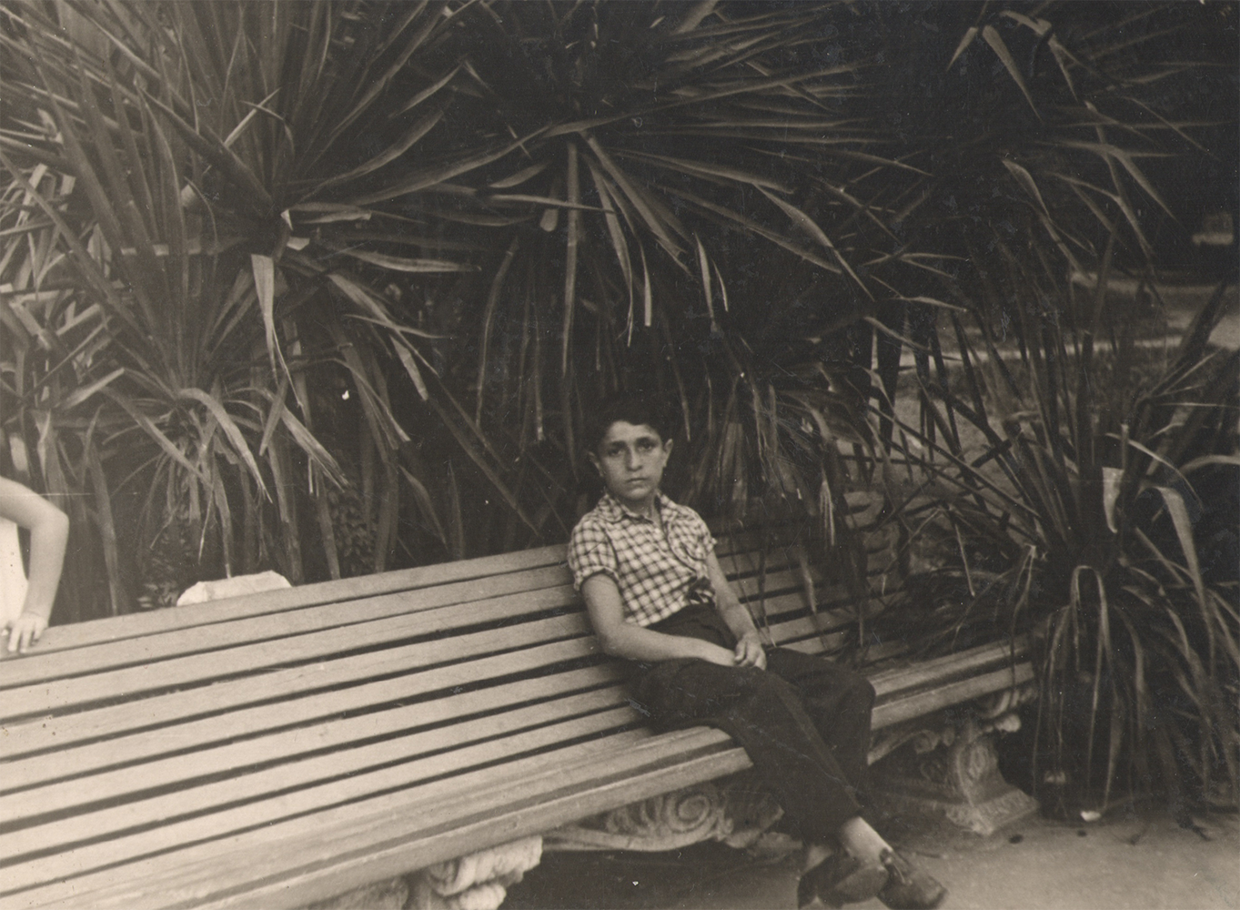 Фотография с пальмой. Курортное дело