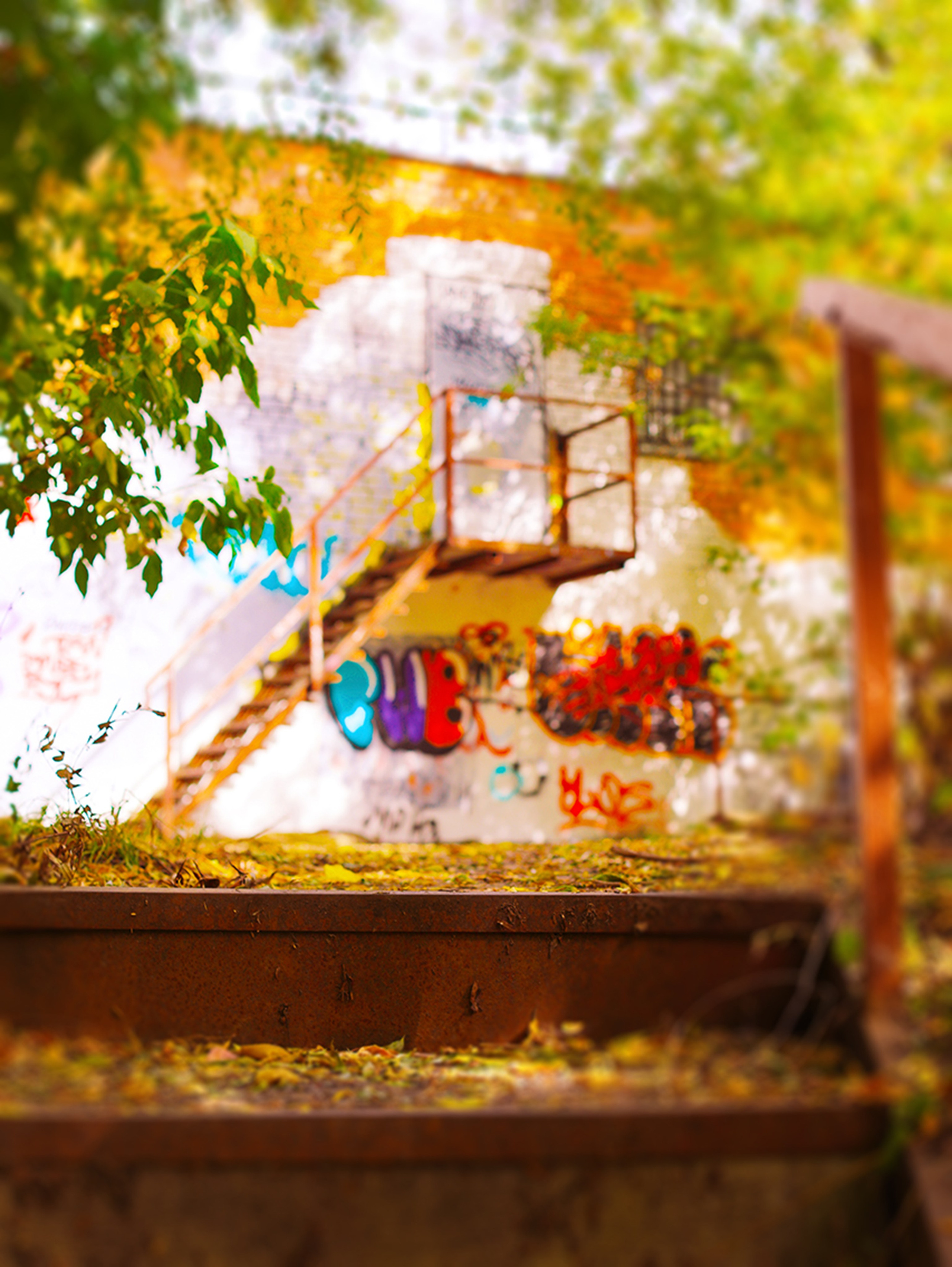 Галереи, выставки, арт-проекты. Visual artist, photographer Liana Darenskaya, Moscow