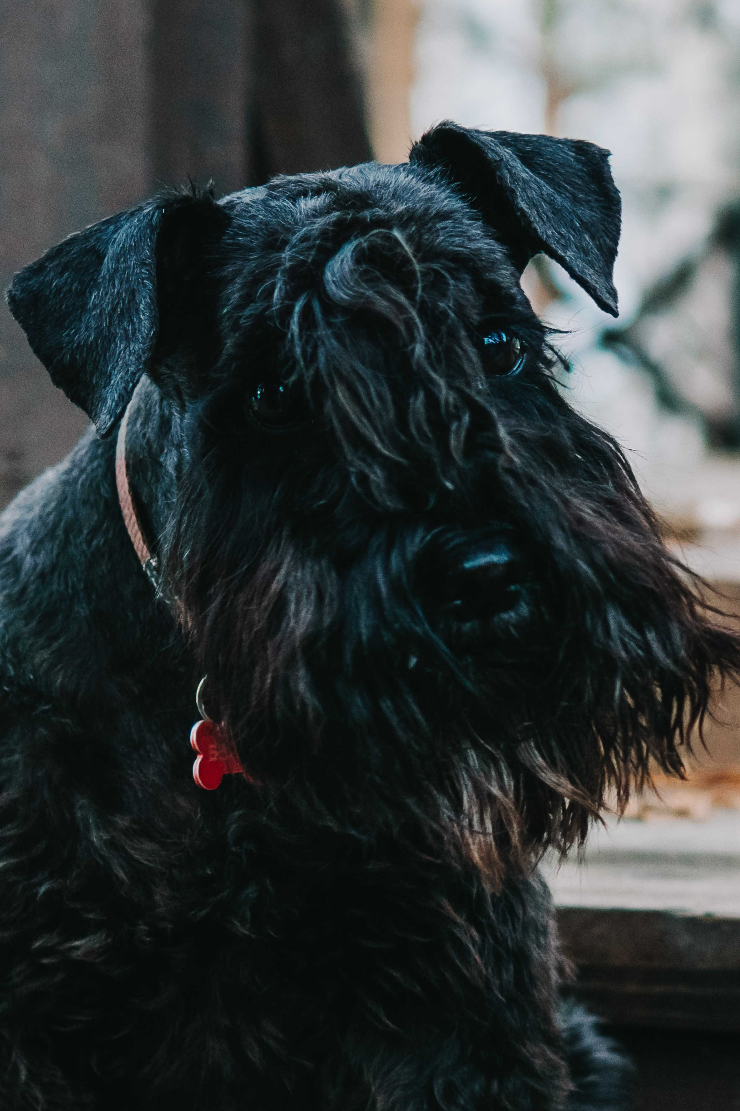 История наших встреч — 1 часть. Saamill