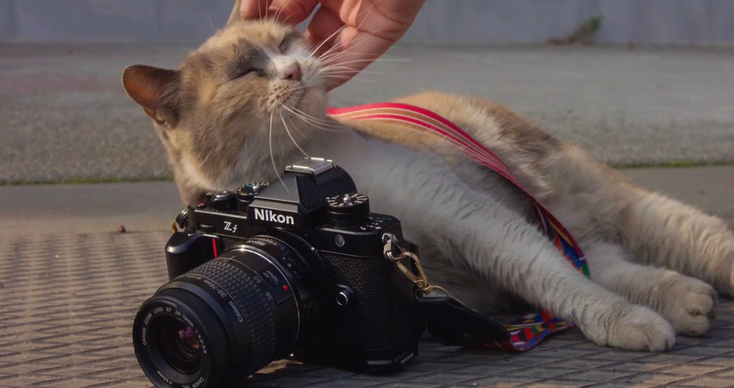 непрямой маркетинг что это