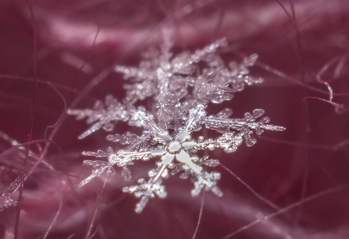 Ваш личный фотограф Марина Волкова