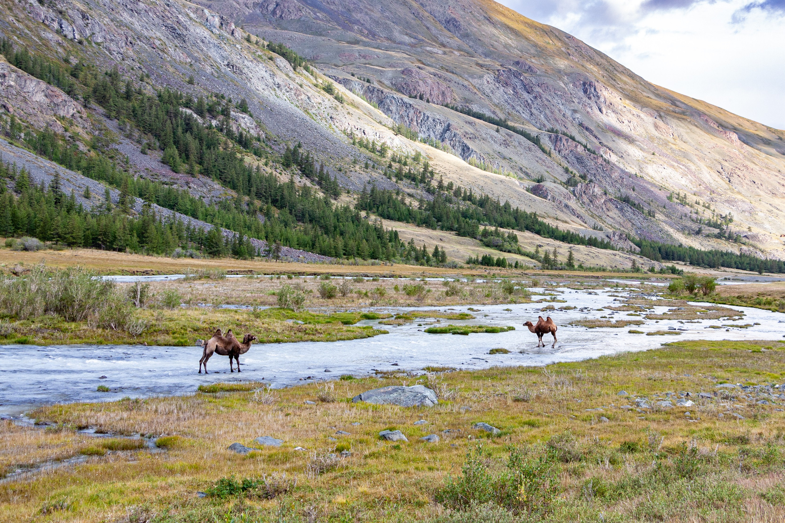 Плато Укок. Gennady Travel
