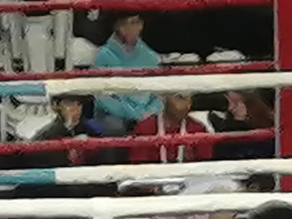 Рисунок телефона. Фотограф Екатерина Веденина