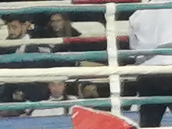 Рисунок телефона. Фотограф Екатерина Веденина