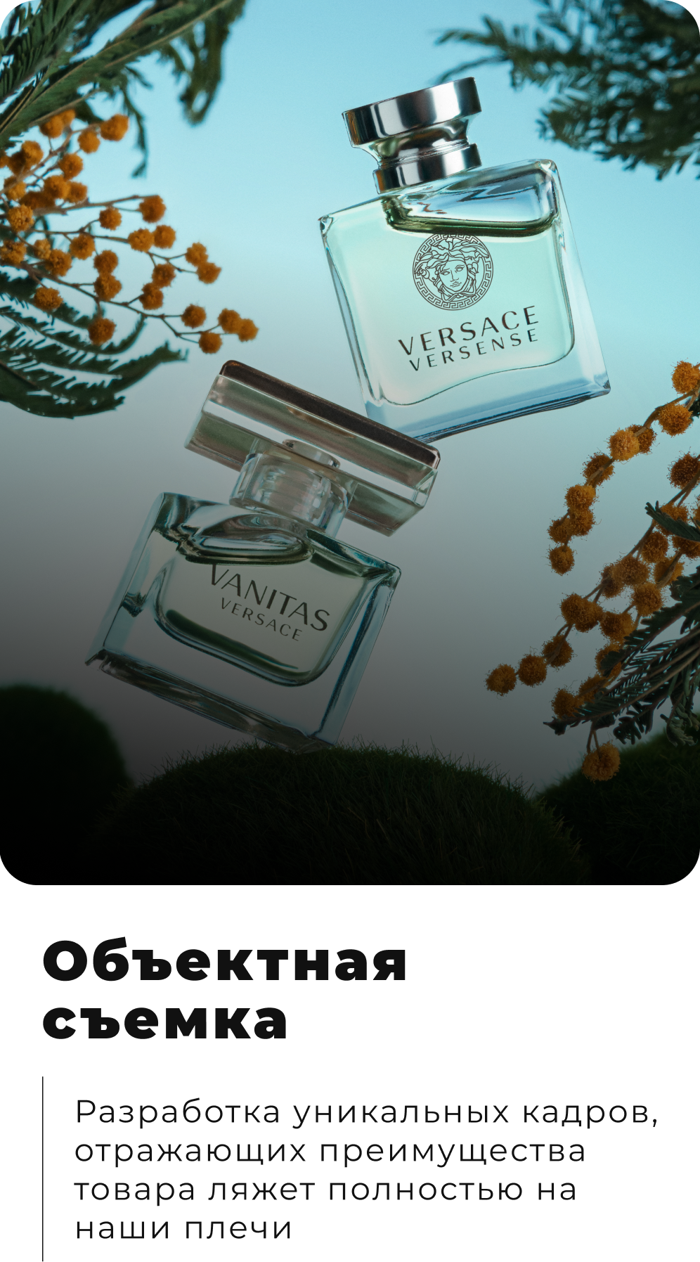 Главная (2). Главная