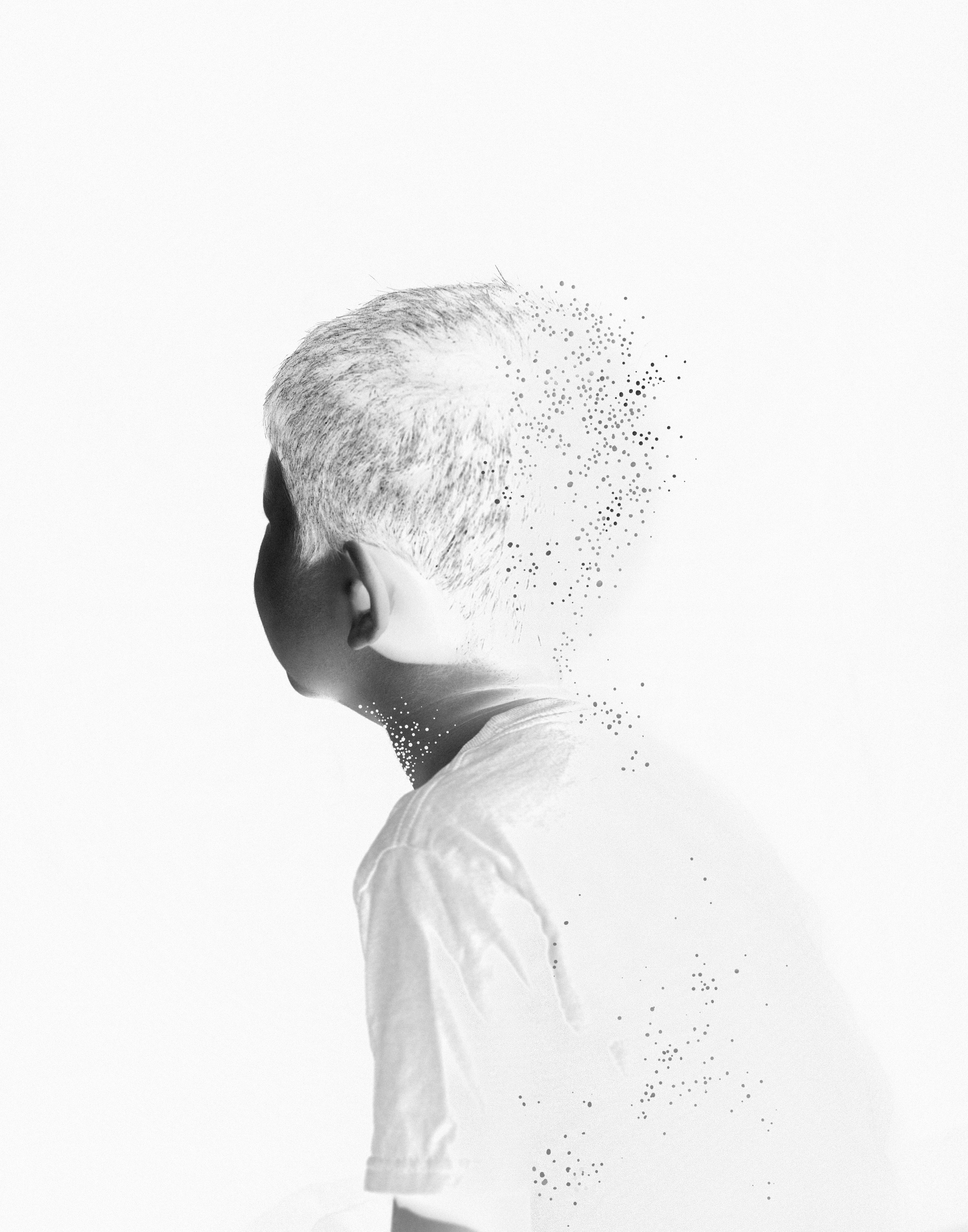 ИНТЕРВЬЮ С АВТОРАМИ: MOE SUZUKI. Самоорганизация Низина