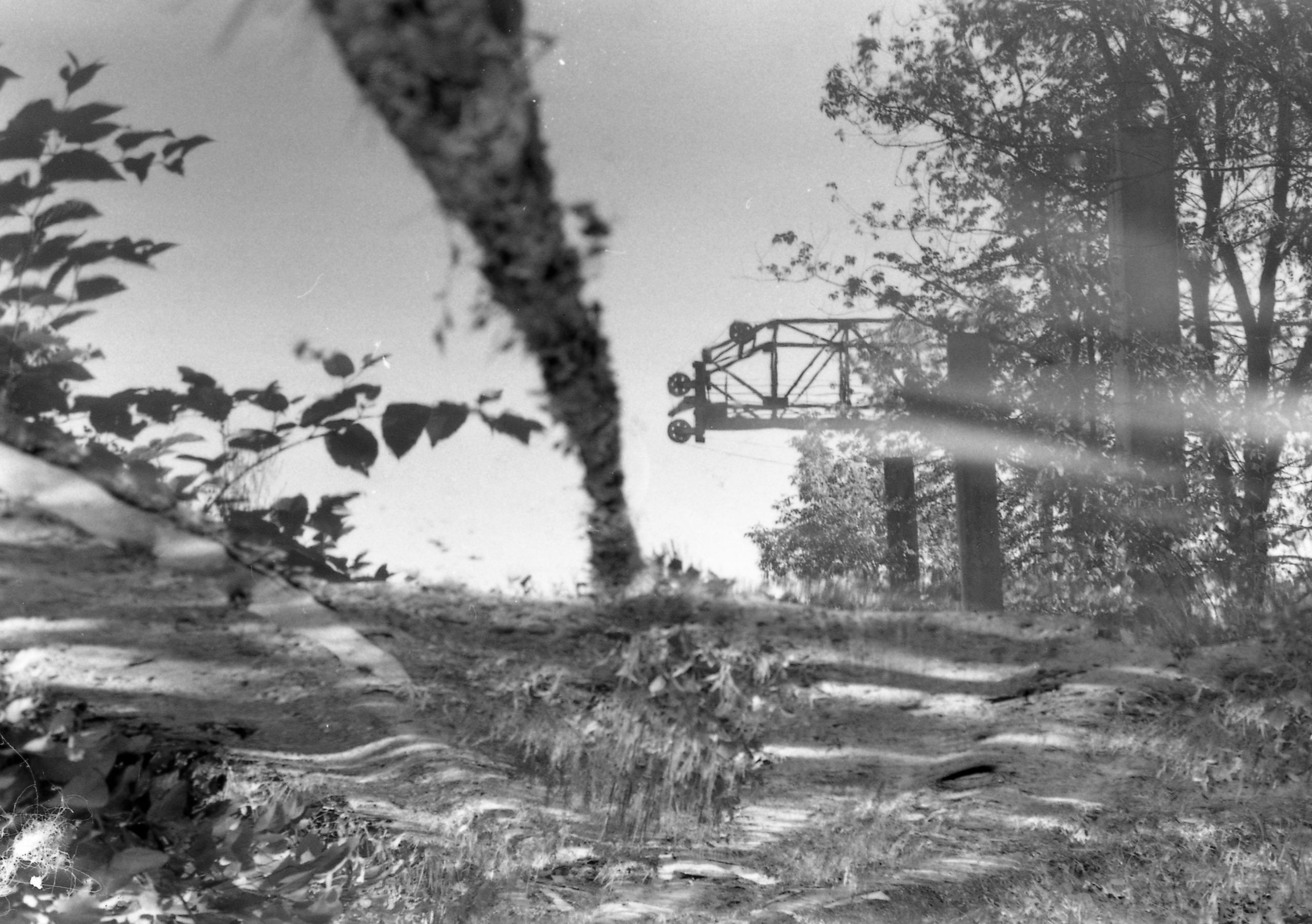 Film meditations. Ekaterina Shikhanova