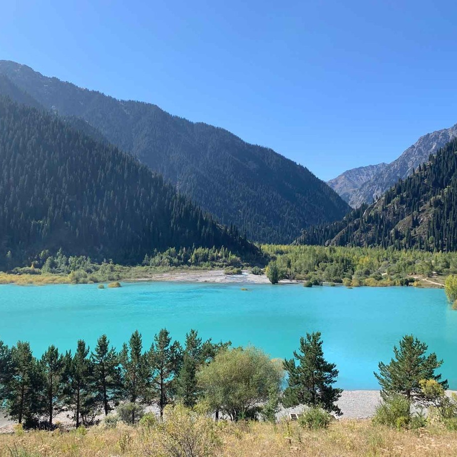 Ярко-бирюзовое озеро Иссык недалеко от Алматы окружено густыми хвойными лесами на фоне высоких гор. На переднем плане видны деревья и травянистая растительность, подчёркивающие природную красоту пейзажа. Чистое голубое небо добавляет яркости сцене.