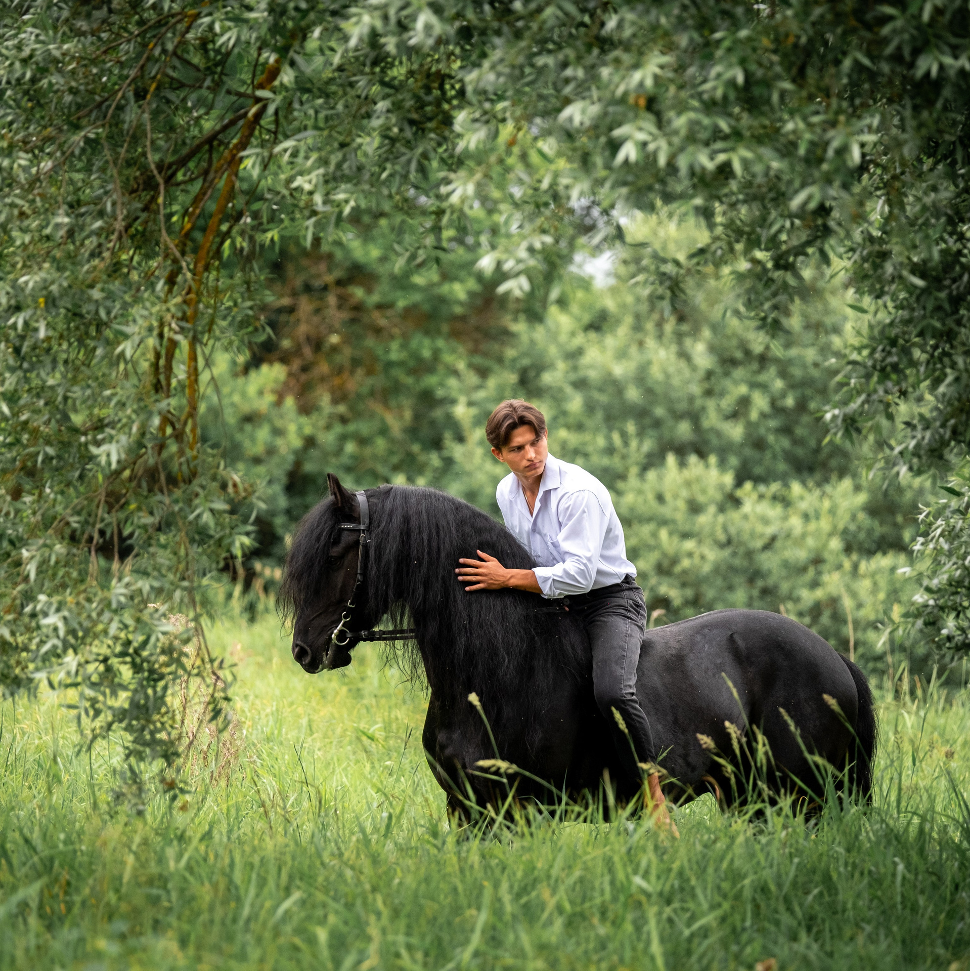 Услуги и цены. Зоофотограф, фотограф животных в Москве и области Дина Дамоцева