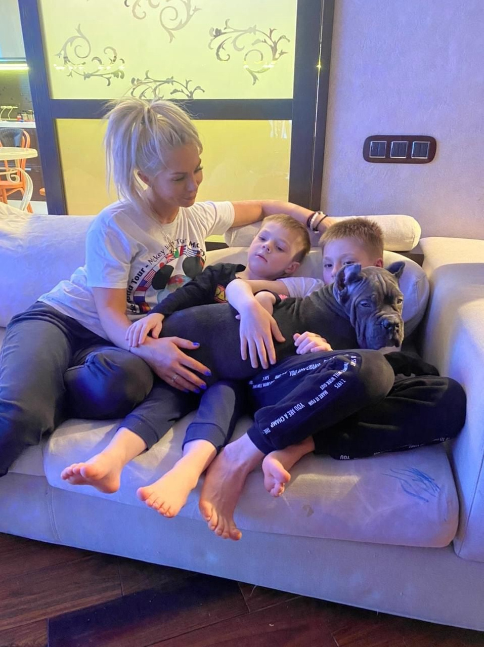 Кане Корсо Лайф, щенки породы Кане Корсо, г. Москва