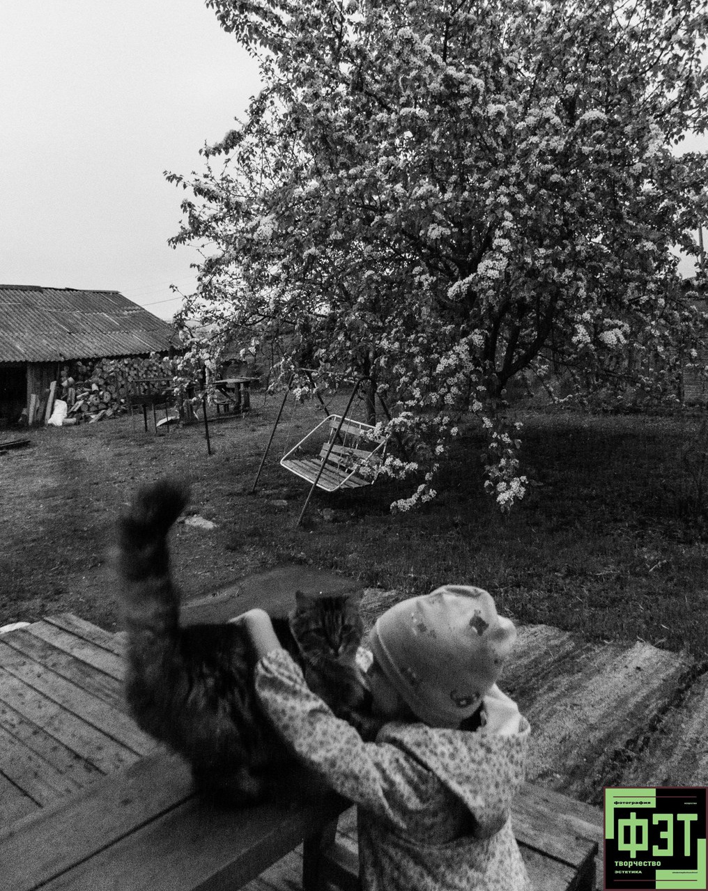 Альбом 24.05.2026 в рамках ФЭТ