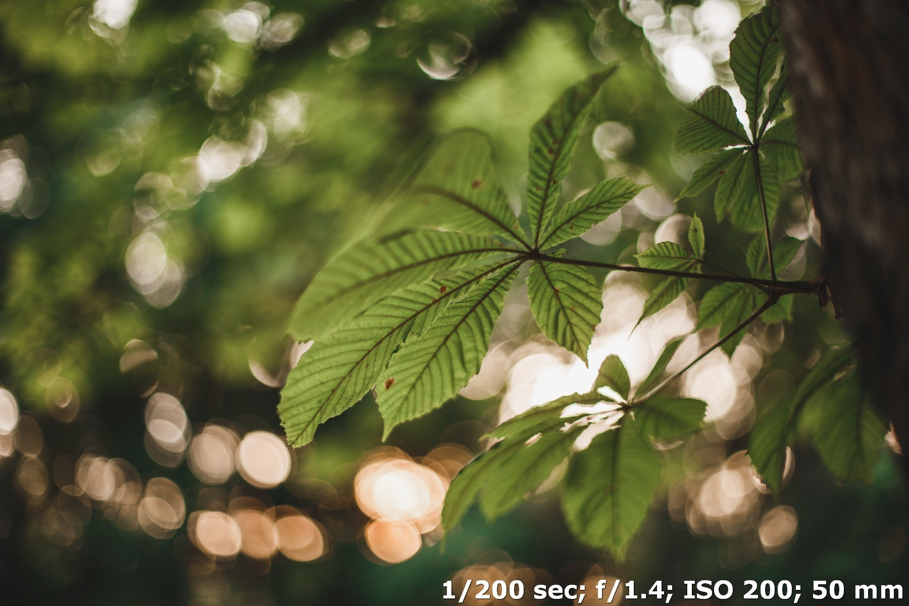 Съемка в ручном режиме при постоянном свете. Фотоцентр Перспектива: выпускные альбомы, фотошкола, курсы фотографии