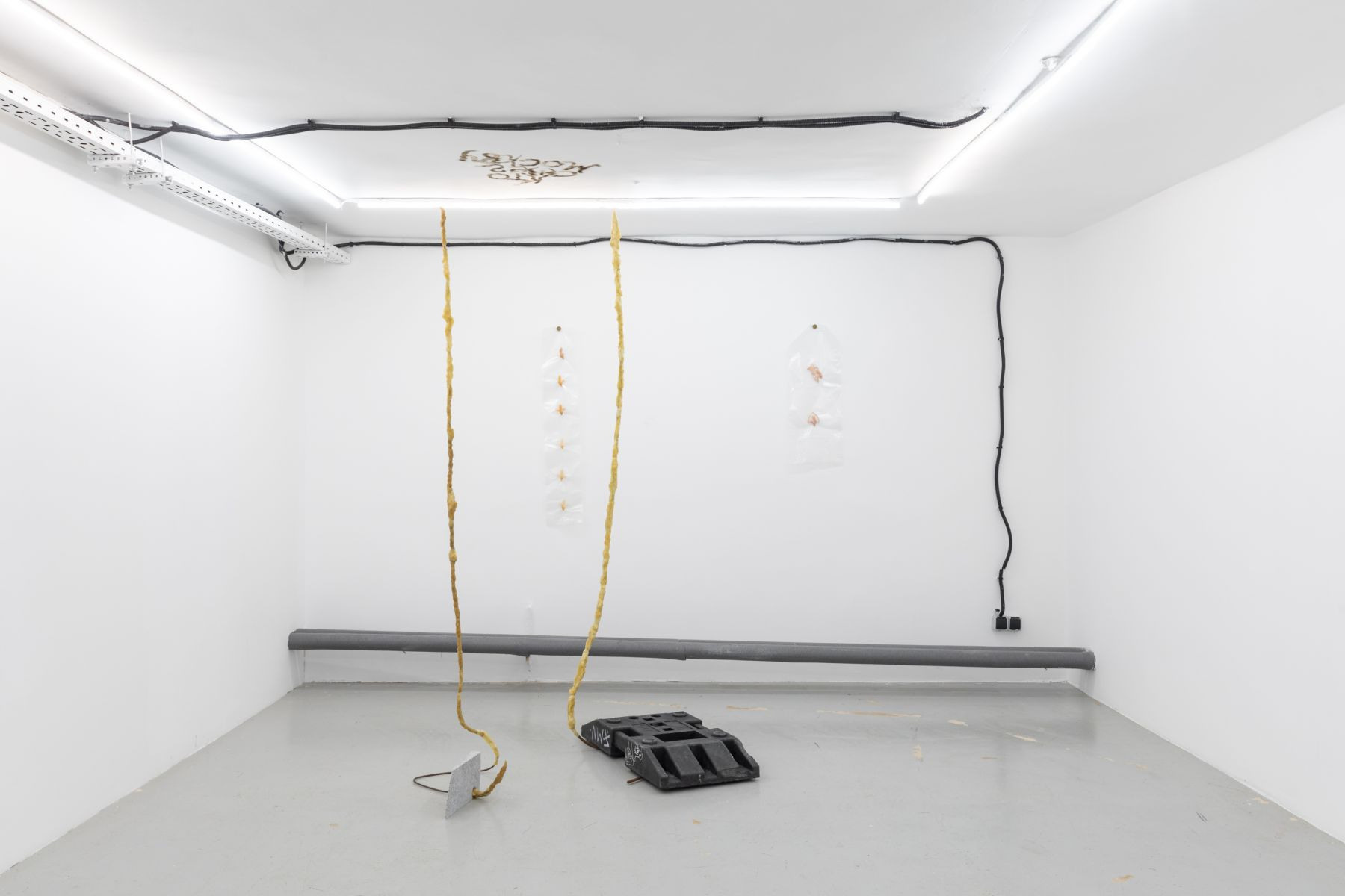 Интервью с Верой Замысловой: ''Надо не подстраиваться, а менять''