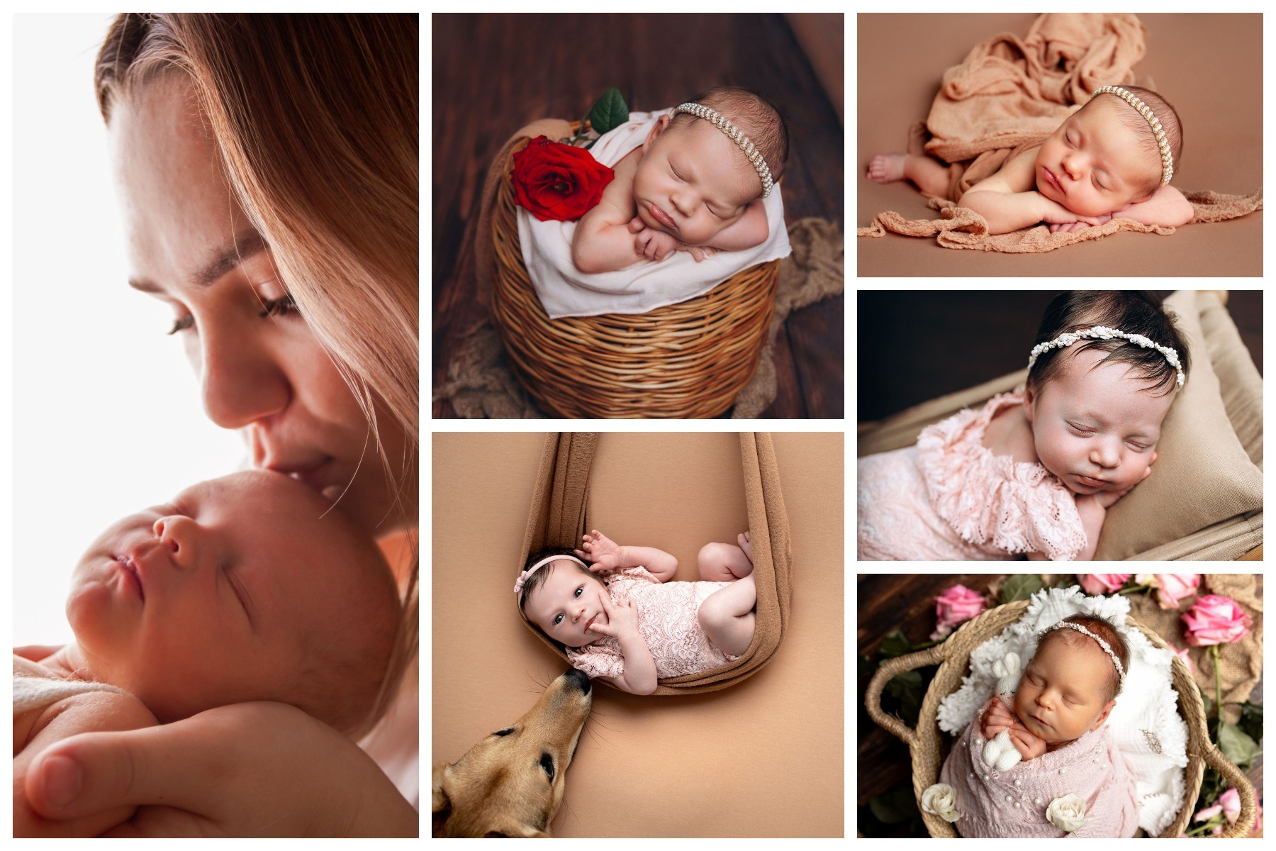 Новорожденные (NewBorn). Колесникова Татьяна. Фотограф новорожденных Щёлково, Москва, Королев