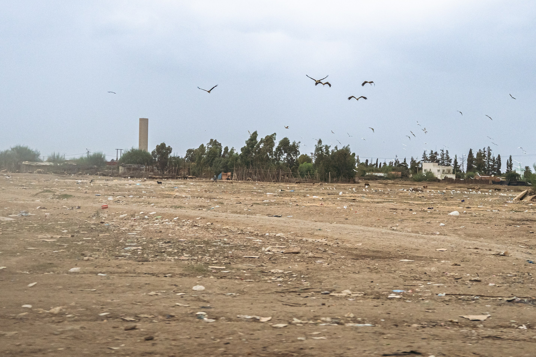 Марокко. Илья Варин — Фотограф Москва, Тверь