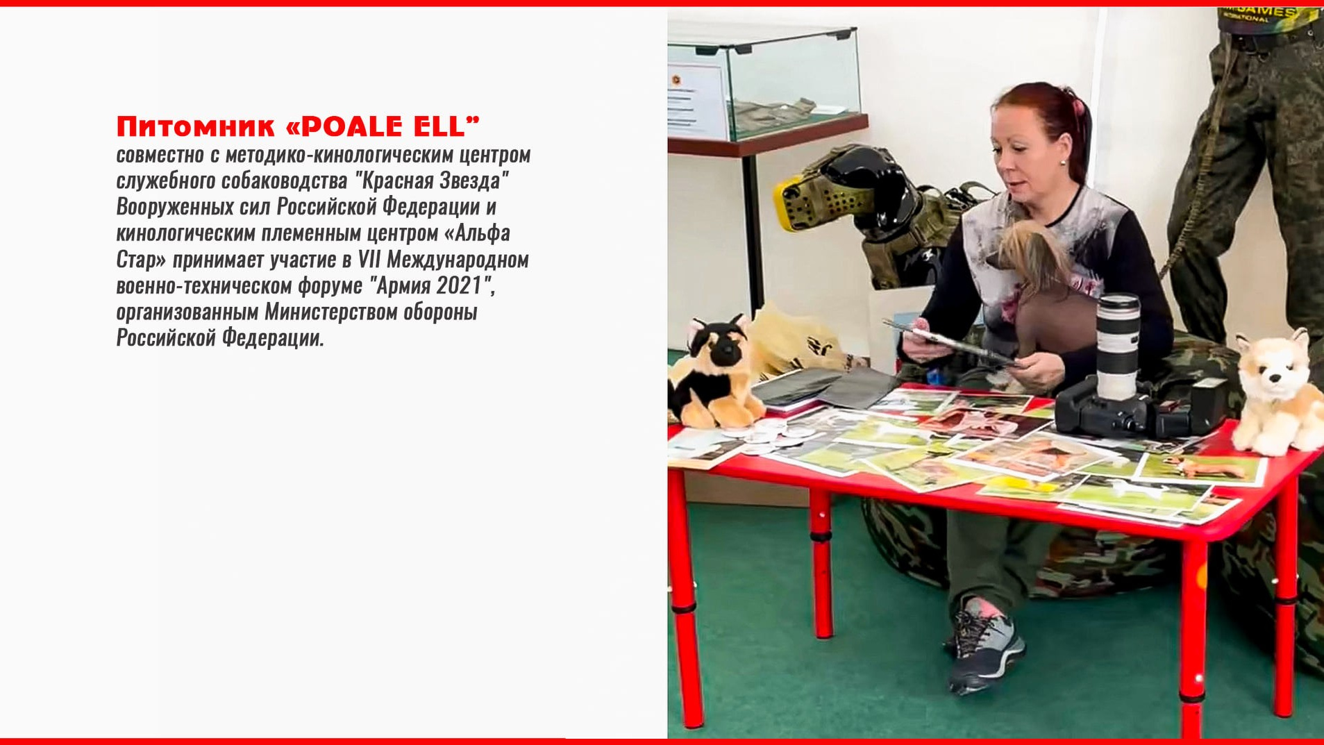 We took part in the VII International Military-Technical Forum “Army 2021” from August 22 to 28. Poale Ell Chinese Crested Dog Kennel: Buy a puppy from the kennel