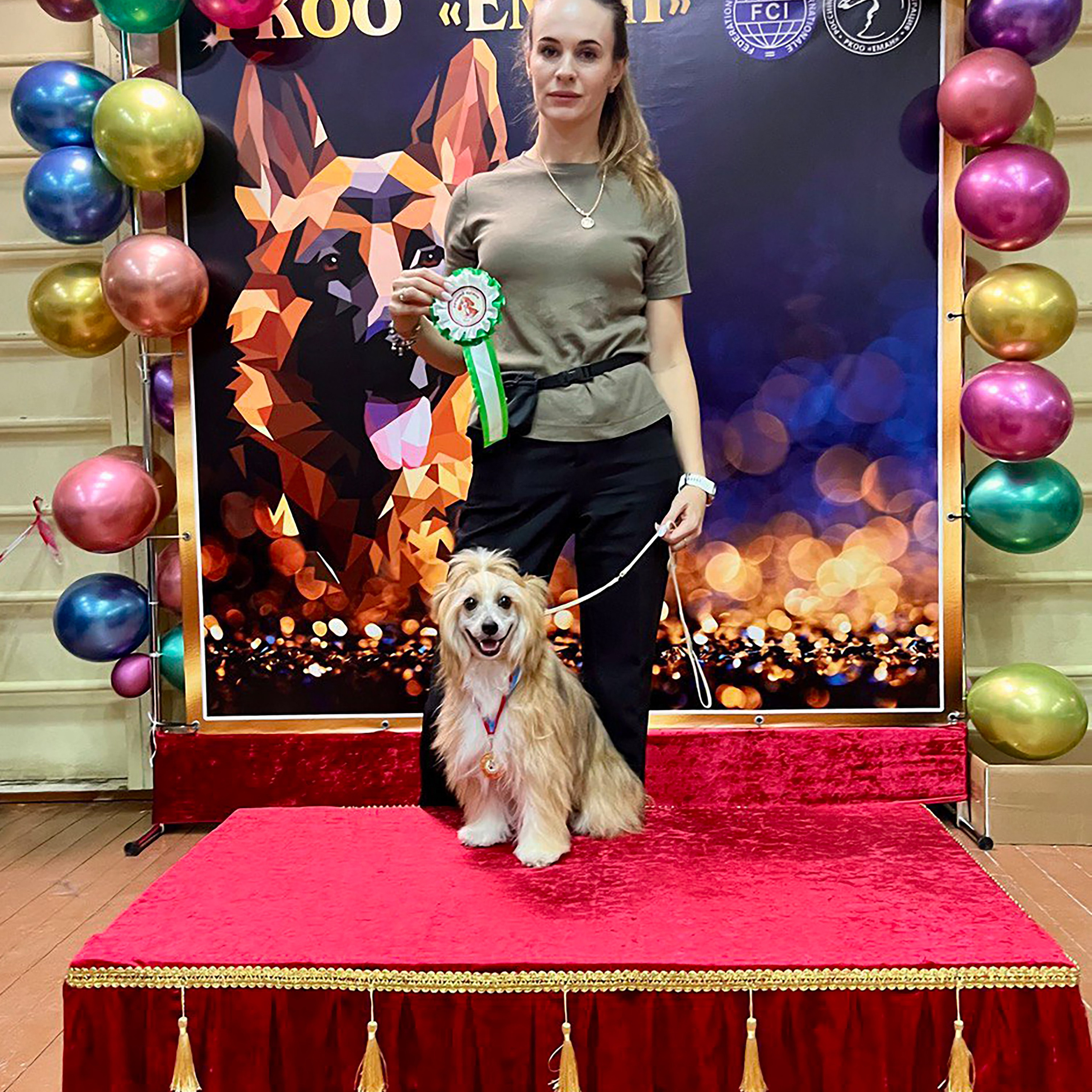 Veles' first exhibition!. Chinese Crested Dog Kennel Poale Ell