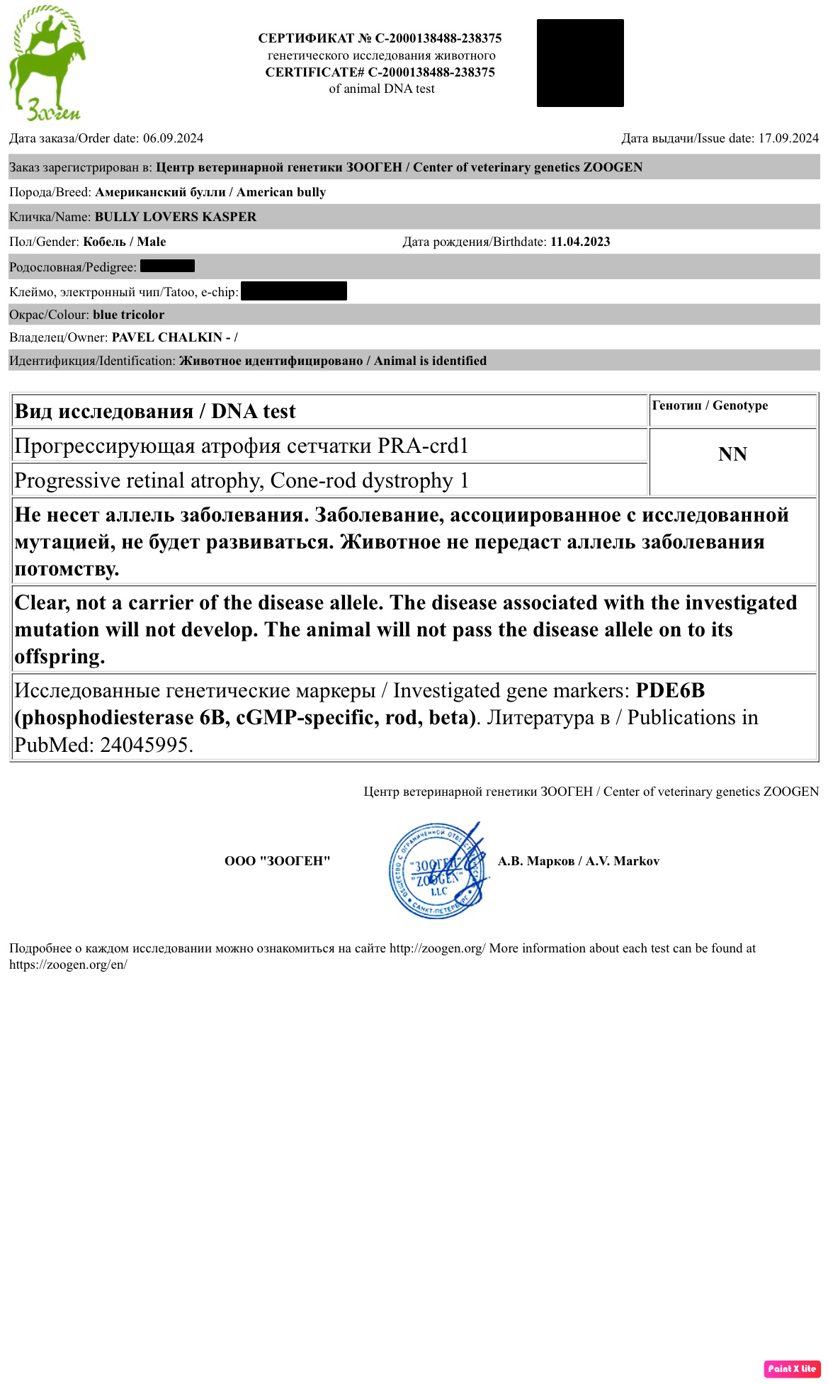 купить щенка в официальном питомнике Американских булли в Волгограде