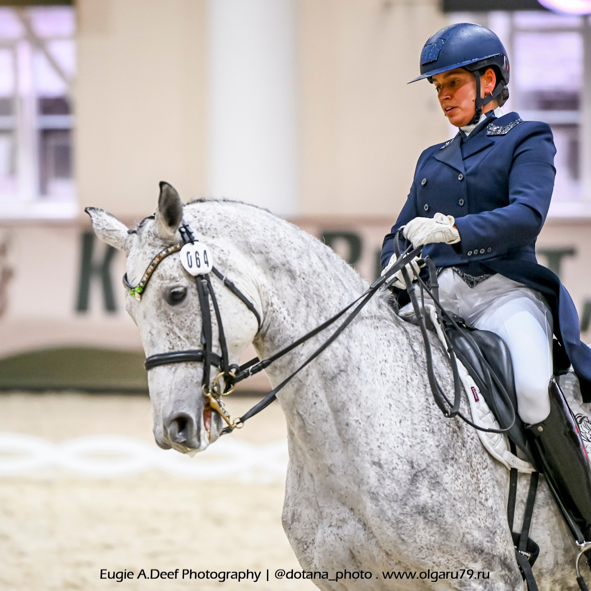 2025.10.30 и 31 — КСК Виват, Россия! (выездка). ТУРНИРНАЯ КОННАЯ ФОТОГРАФИЯ, Руднева Ольга и Евгений Адеев
