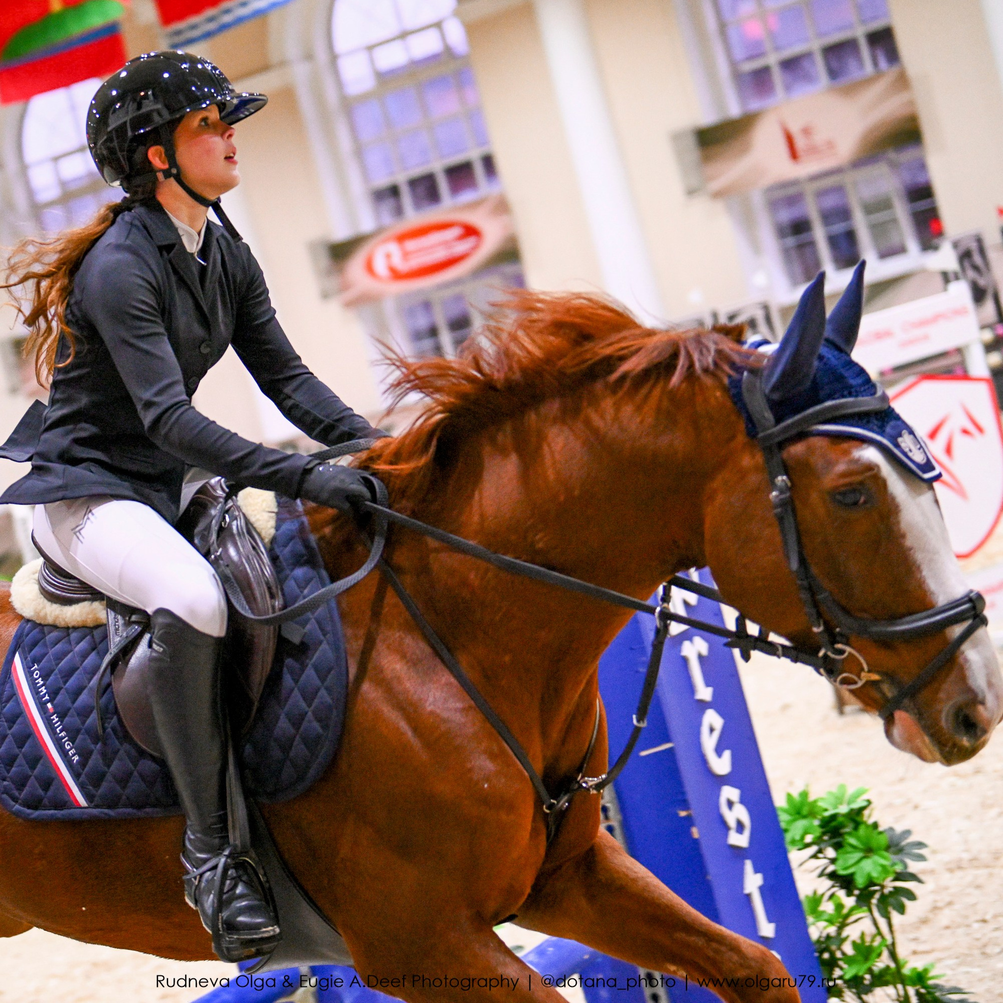 2025.10.26 — КСК Виват, Россия! конкур. ТУРНИРНАЯ КОННАЯ ФОТОГРАФИЯ, Руднева Ольга и Евгений Адеев