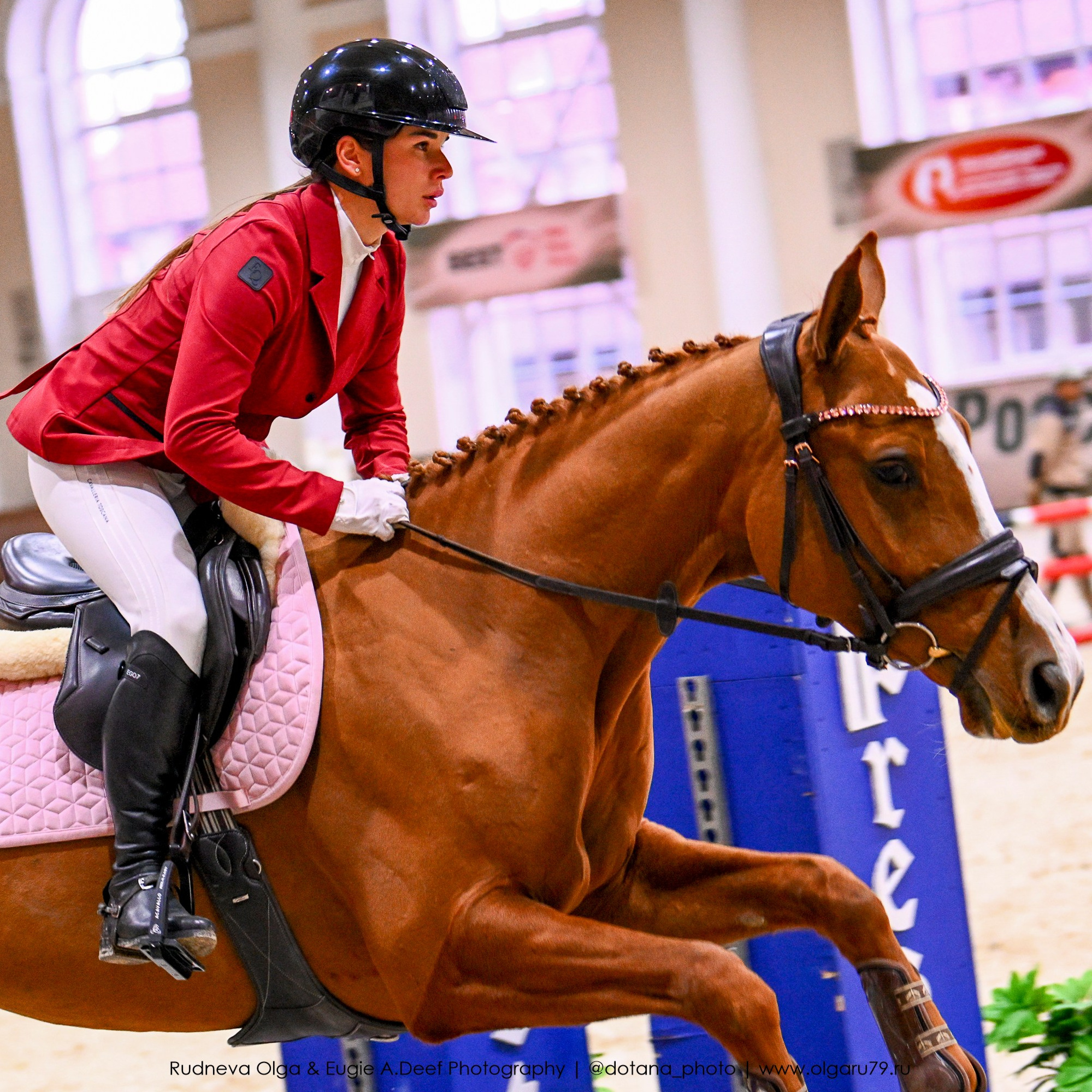 2025.10.26 — КСК Виват, Россия! конкур. ТУРНИРНАЯ КОННАЯ ФОТОГРАФИЯ, Руднева Ольга и Евгений Адеев