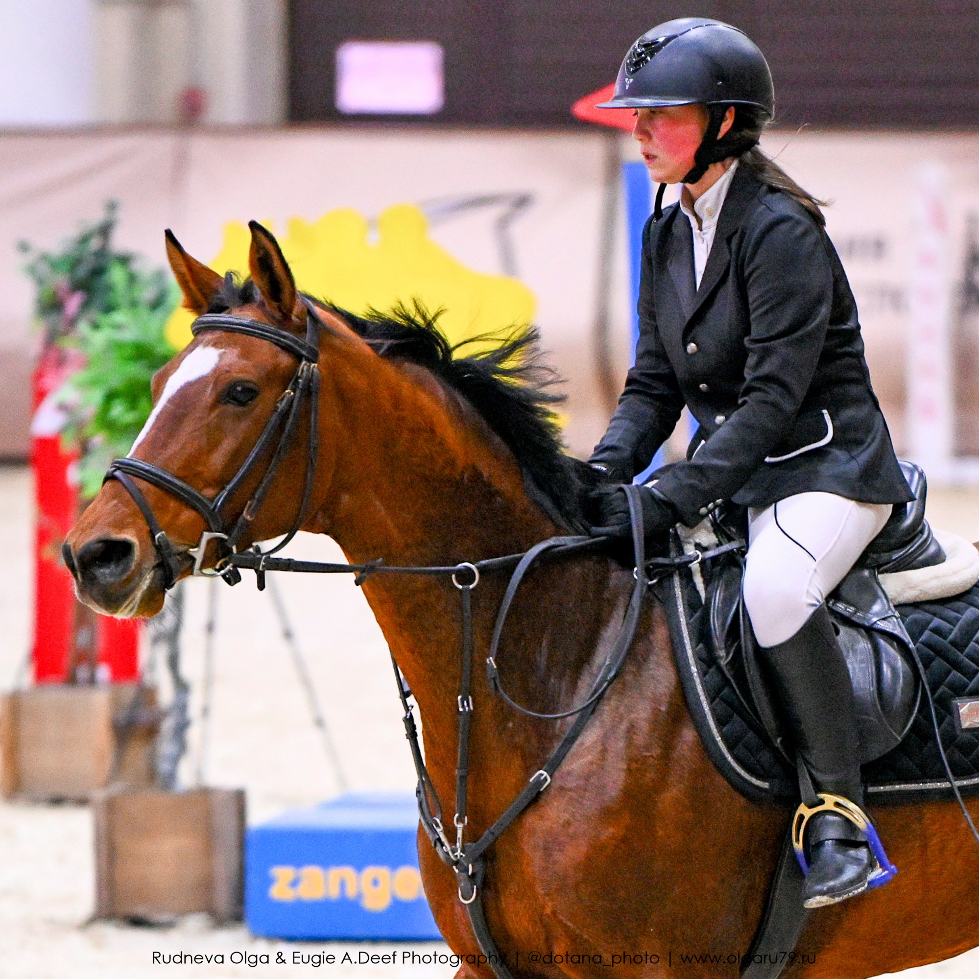 2025.10.26 — КСК Виват, Россия! конкур. ТУРНИРНАЯ КОННАЯ ФОТОГРАФИЯ, Руднева Ольга и Евгений Адеев