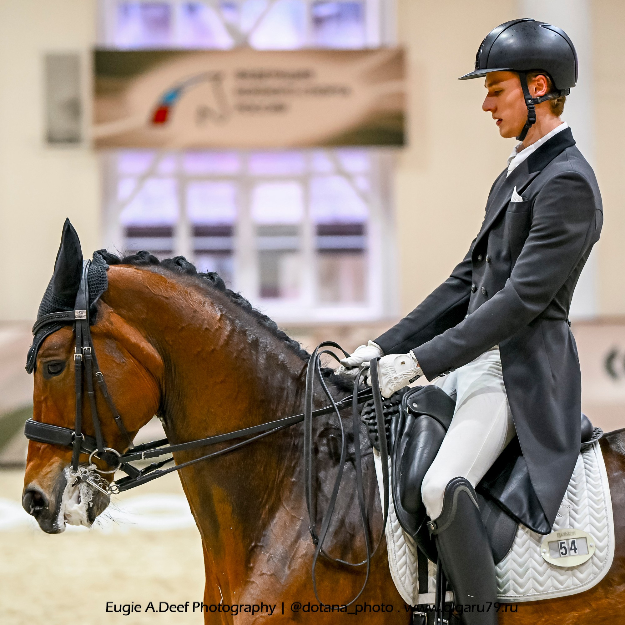 2025.10.30 и 31 — КСК Виват, Россия! (выездка). ТУРНИРНАЯ КОННАЯ ФОТОГРАФИЯ, Руднева Ольга и Евгений Адеев