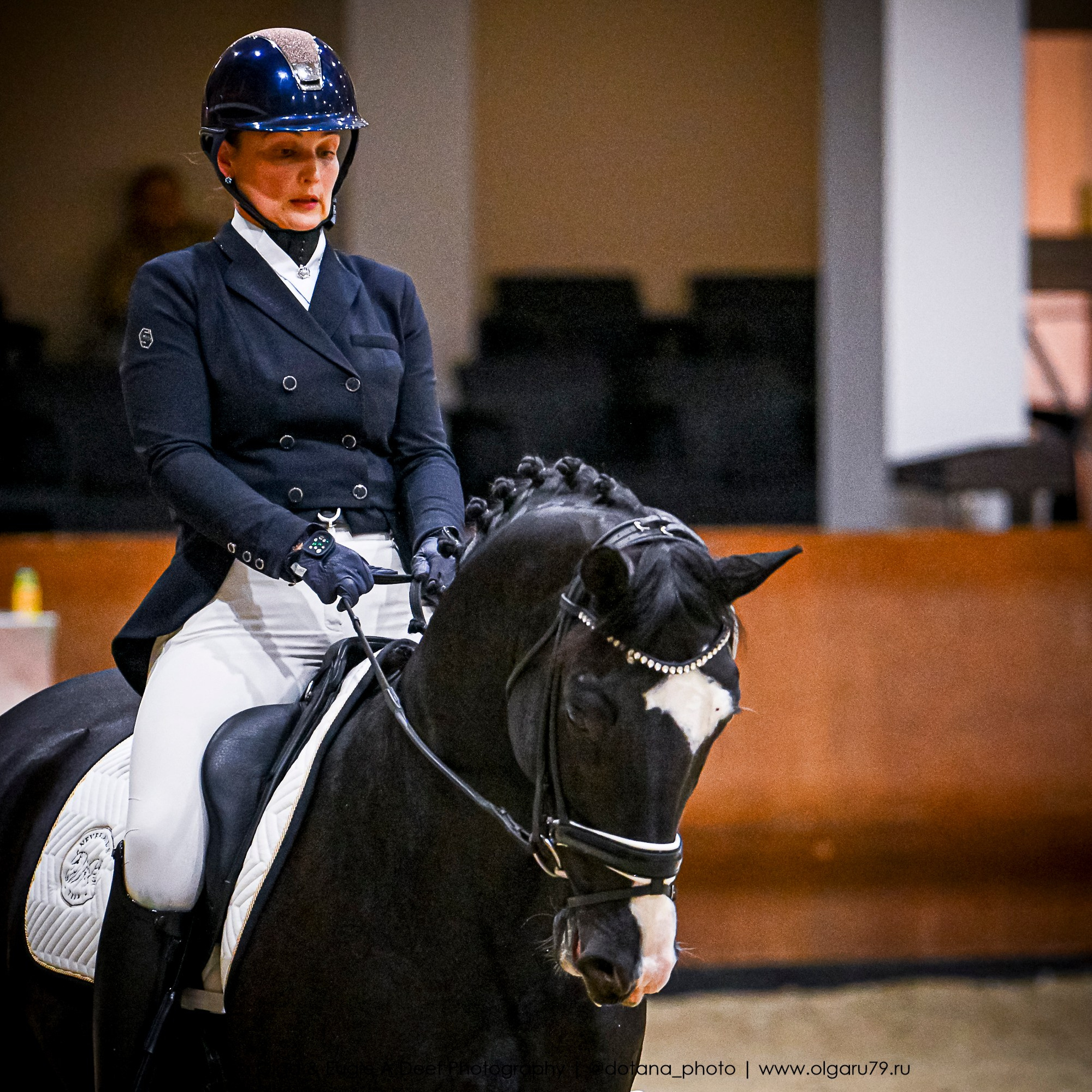 2025.10.30 и 31 — КСК Виват, Россия! (выездка). ТУРНИРНАЯ КОННАЯ ФОТОГРАФИЯ, Руднева Ольга и Евгений Адеев
