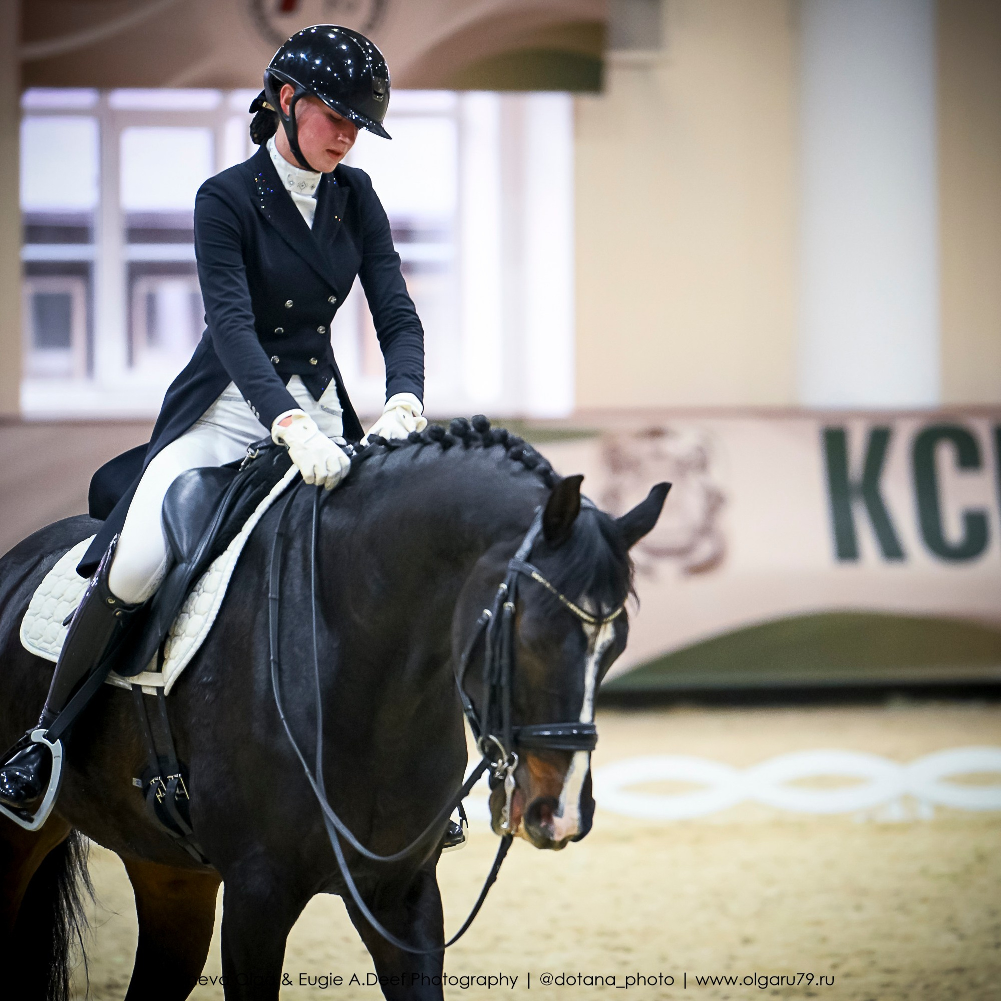 2025.10.30 и 31 — КСК Виват, Россия! (выездка). ТУРНИРНАЯ КОННАЯ ФОТОГРАФИЯ, Руднева Ольга и Евгений Адеев