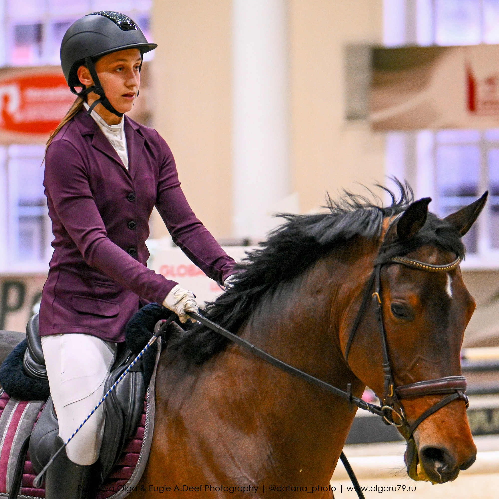 2025.10.26 — КСК Виват, Россия! конкур. ТУРНИРНАЯ КОННАЯ ФОТОГРАФИЯ, Руднева Ольга и Евгений Адеев
