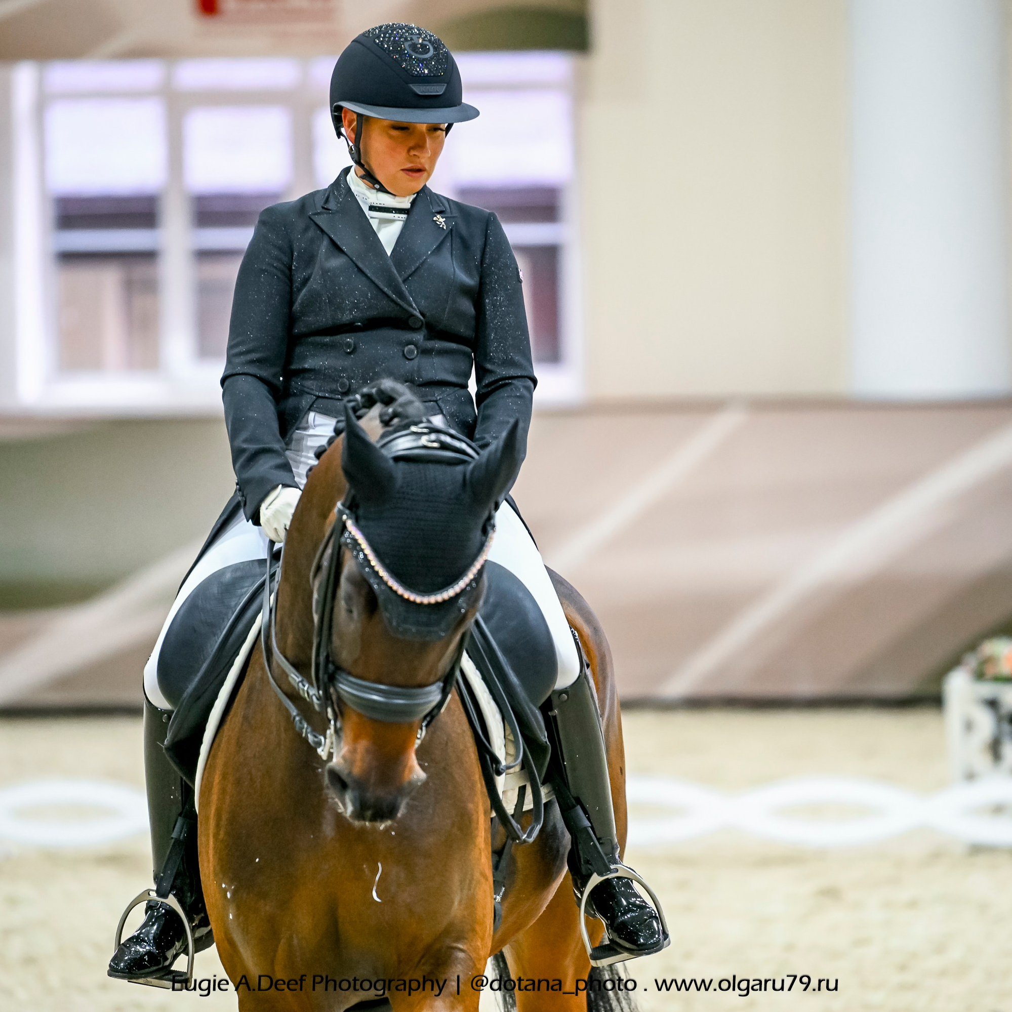 2025.10.30 и 31 — КСК Виват, Россия! (выездка). ТУРНИРНАЯ КОННАЯ ФОТОГРАФИЯ, Руднева Ольга и Евгений Адеев