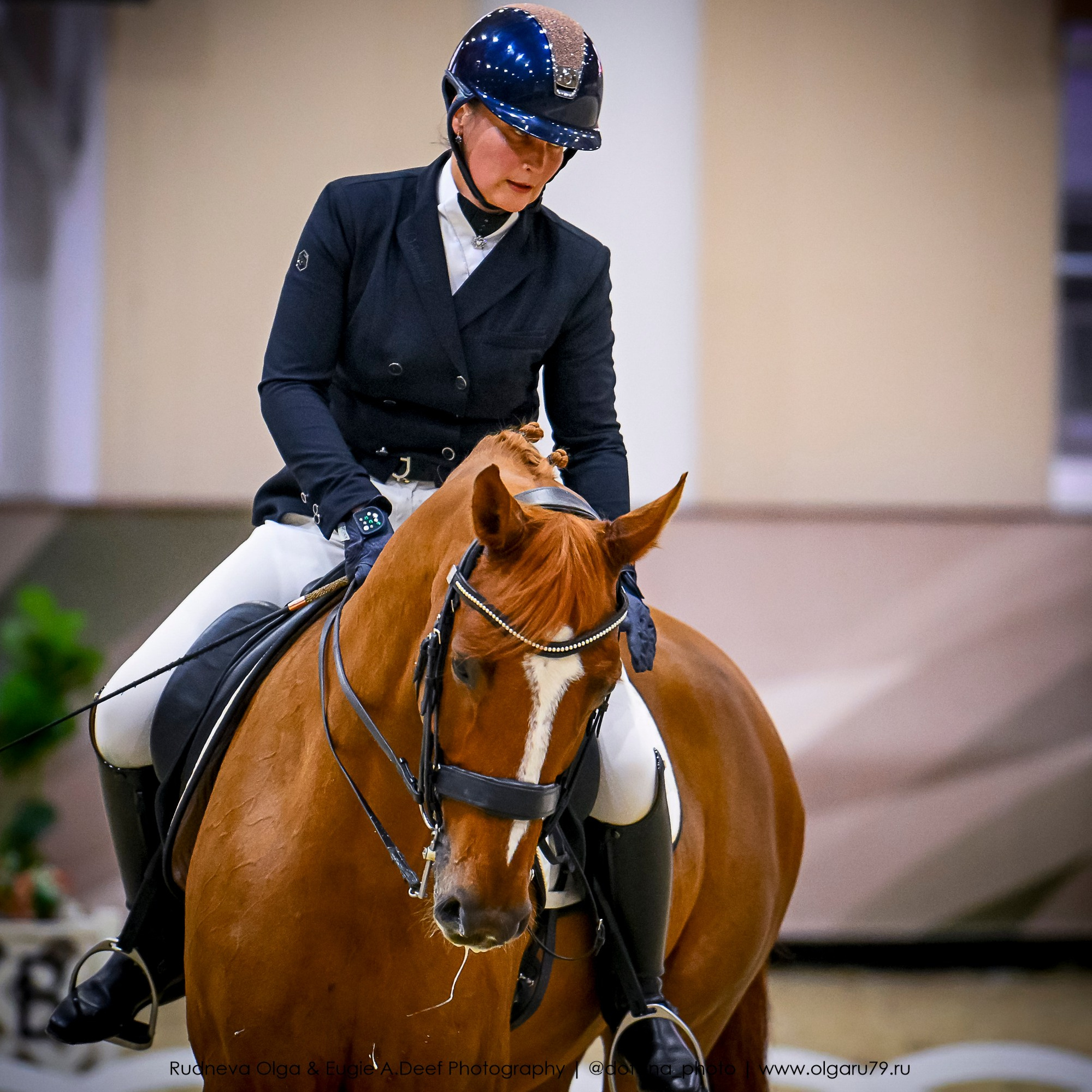 2025.10.30 и 31 — КСК Виват, Россия! (выездка). ТУРНИРНАЯ КОННАЯ ФОТОГРАФИЯ, Руднева Ольга и Евгений Адеев