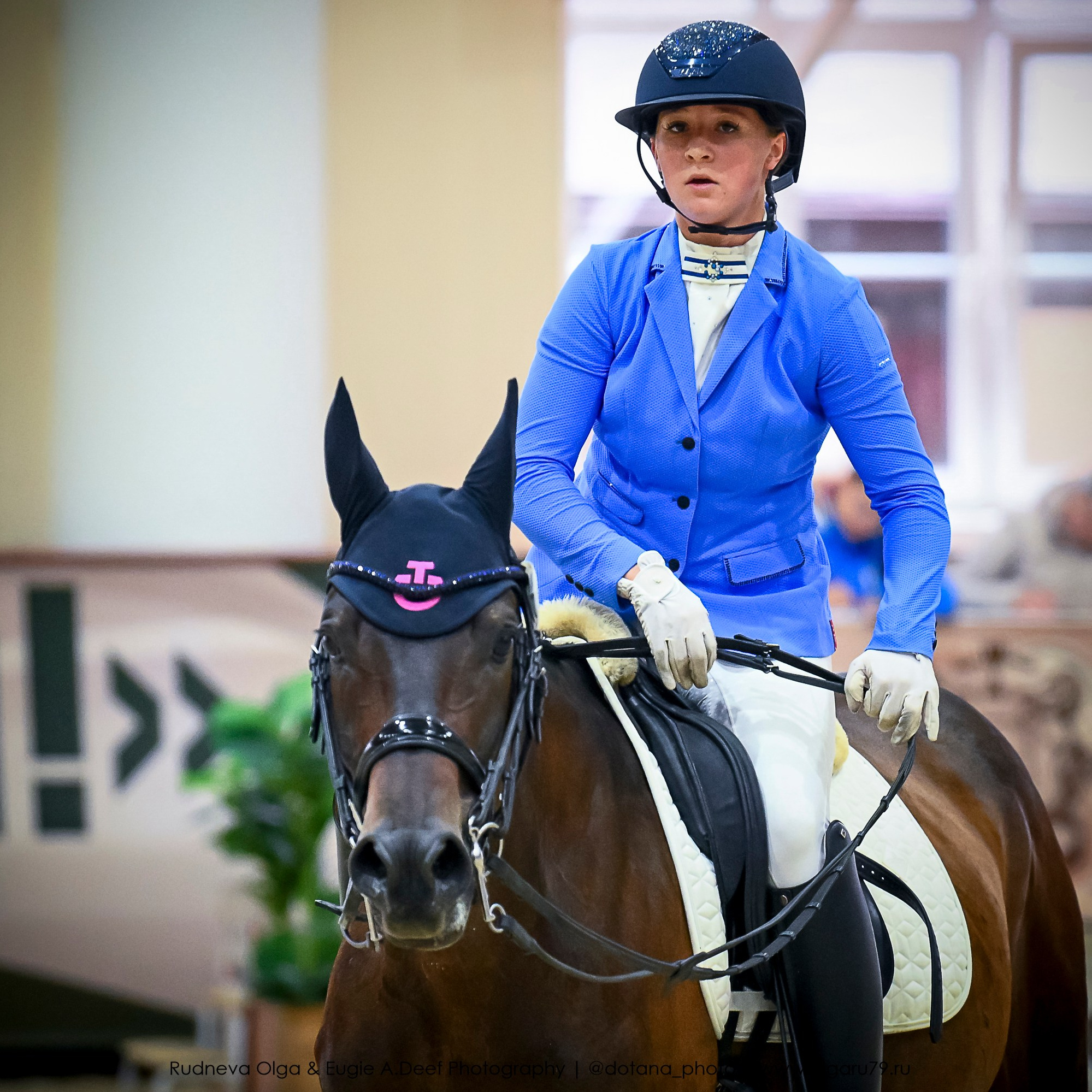 2025.10.30 и 31 — КСК Виват, Россия! (выездка). ТУРНИРНАЯ КОННАЯ ФОТОГРАФИЯ, Руднева Ольга и Евгений Адеев