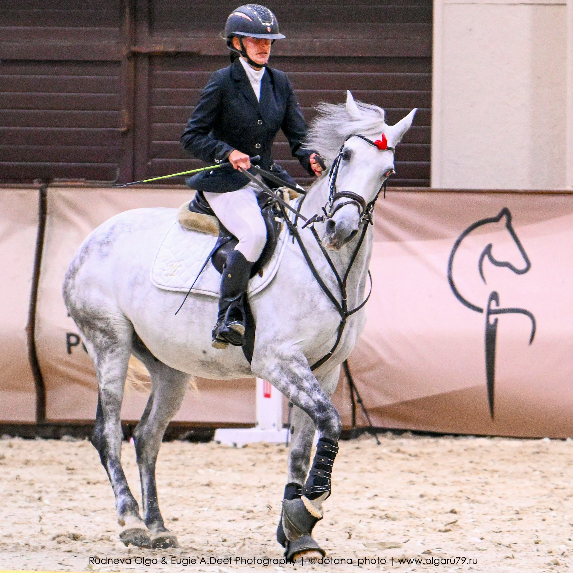 2025.10.26 — КСК Виват, Россия! конкур. ТУРНИРНАЯ КОННАЯ ФОТОГРАФИЯ, Руднева Ольга и Евгений Адеев