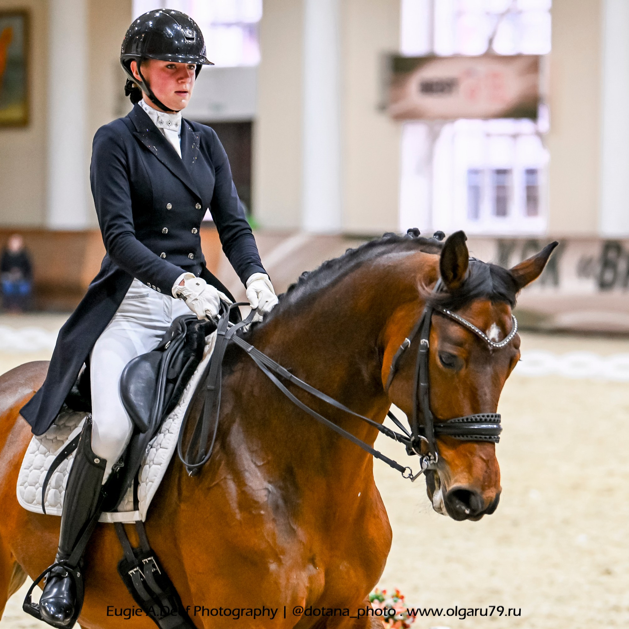 2025.10.30 и 31 — КСК Виват, Россия! (выездка). ТУРНИРНАЯ КОННАЯ ФОТОГРАФИЯ, Руднева Ольга и Евгений Адеев